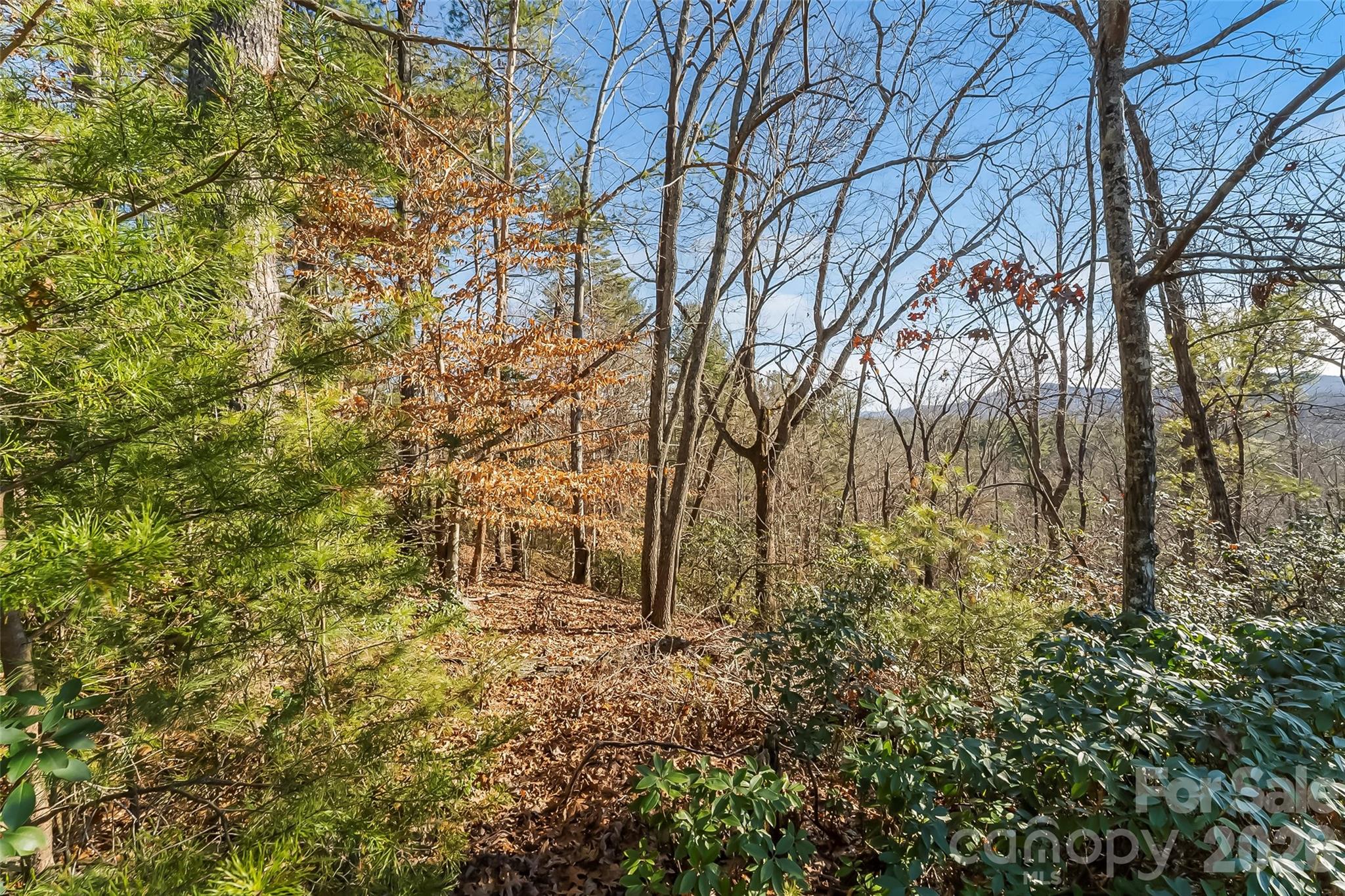 961 High Trail Drive 35-11 Property Photo 10