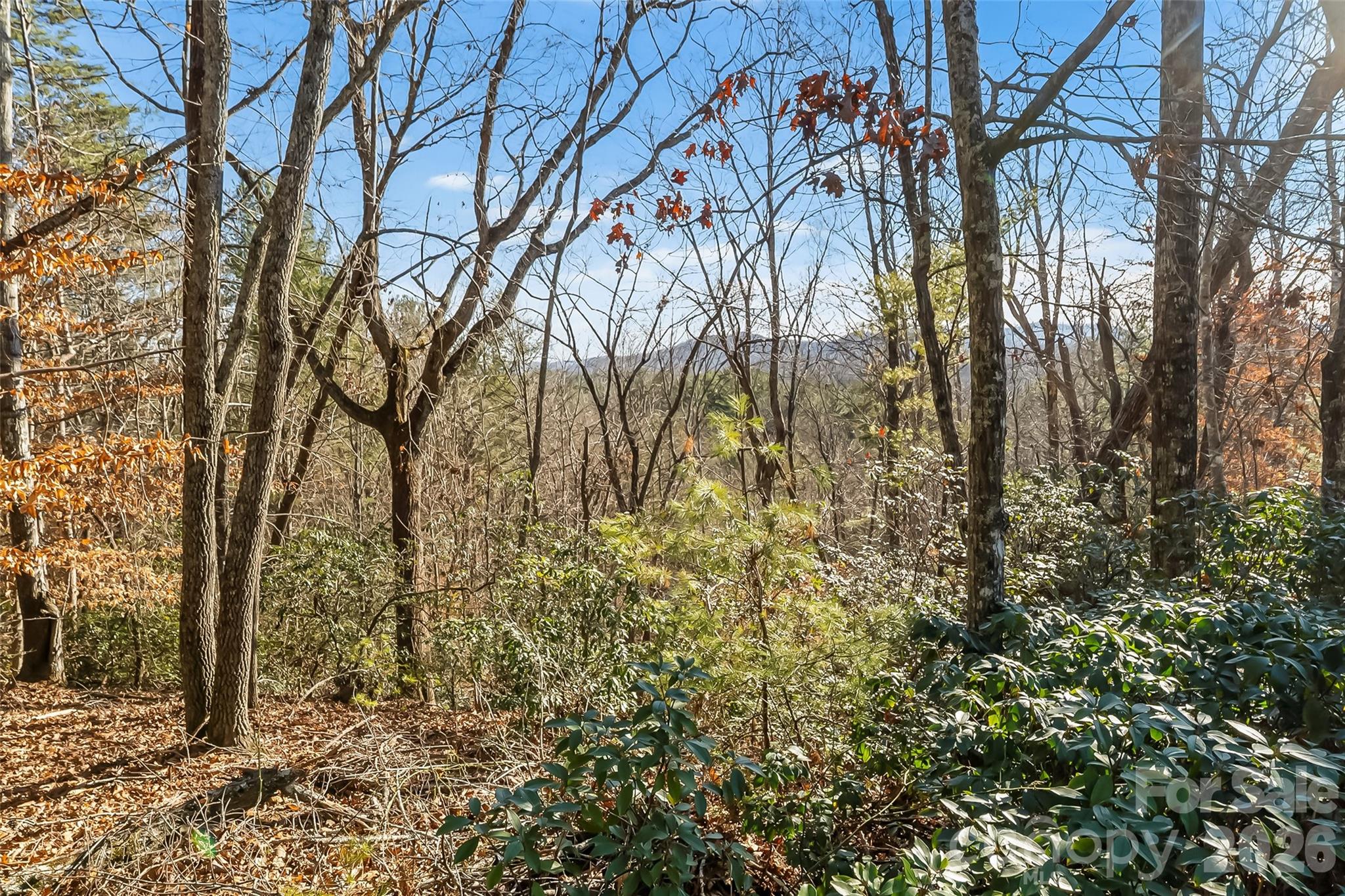 961 High Trail Drive 35-11 Property Photo 11