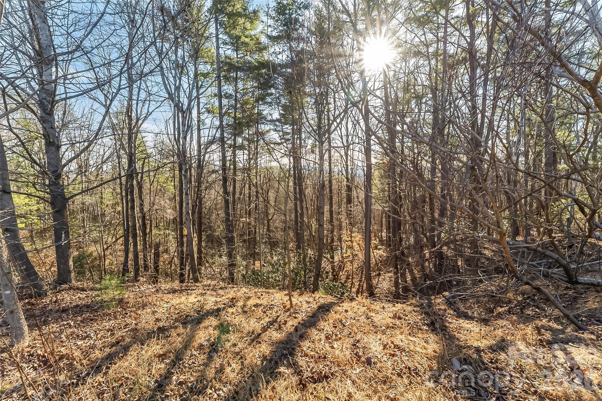 961 High Trail Drive 35-11 Property Photo 12