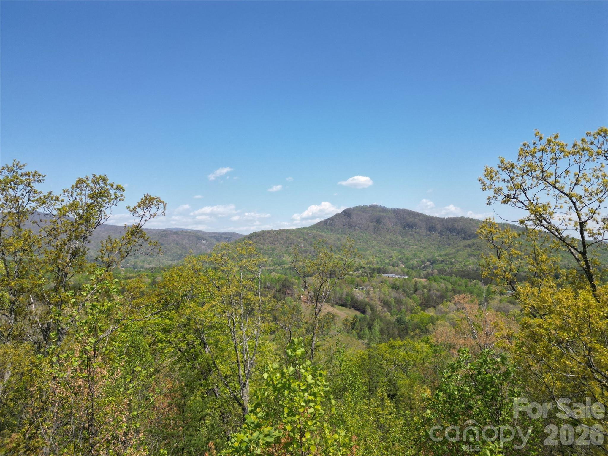 Lot 4 Hibiscus Court Property Photo 1