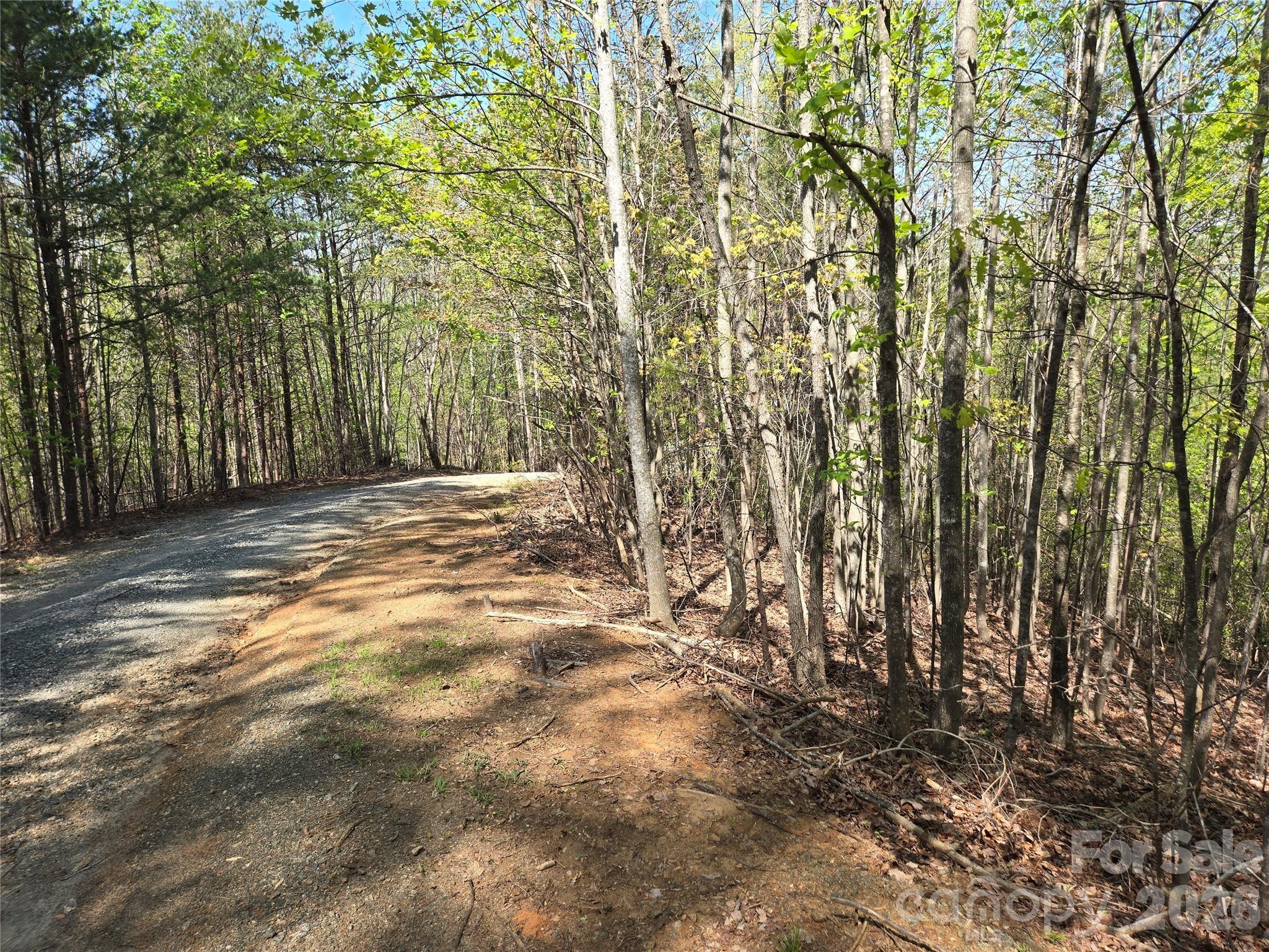 Lot 4 Hibiscus Court Property Photo 2