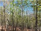 Lot 4 Hibiscus Court Property Photo 8