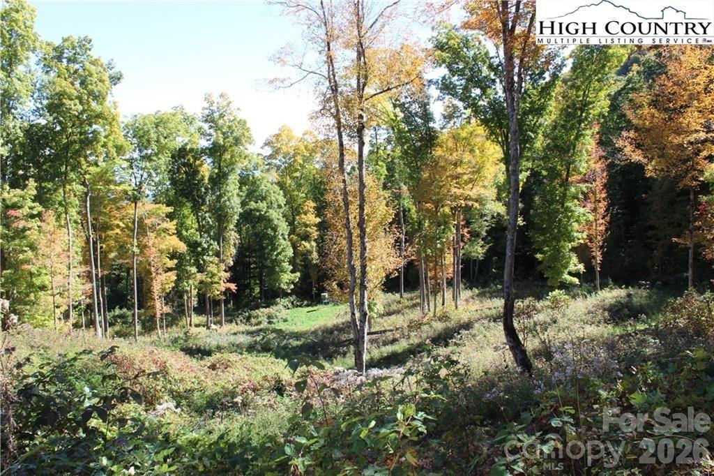 Tbd Mcneill Road Property Photo 7