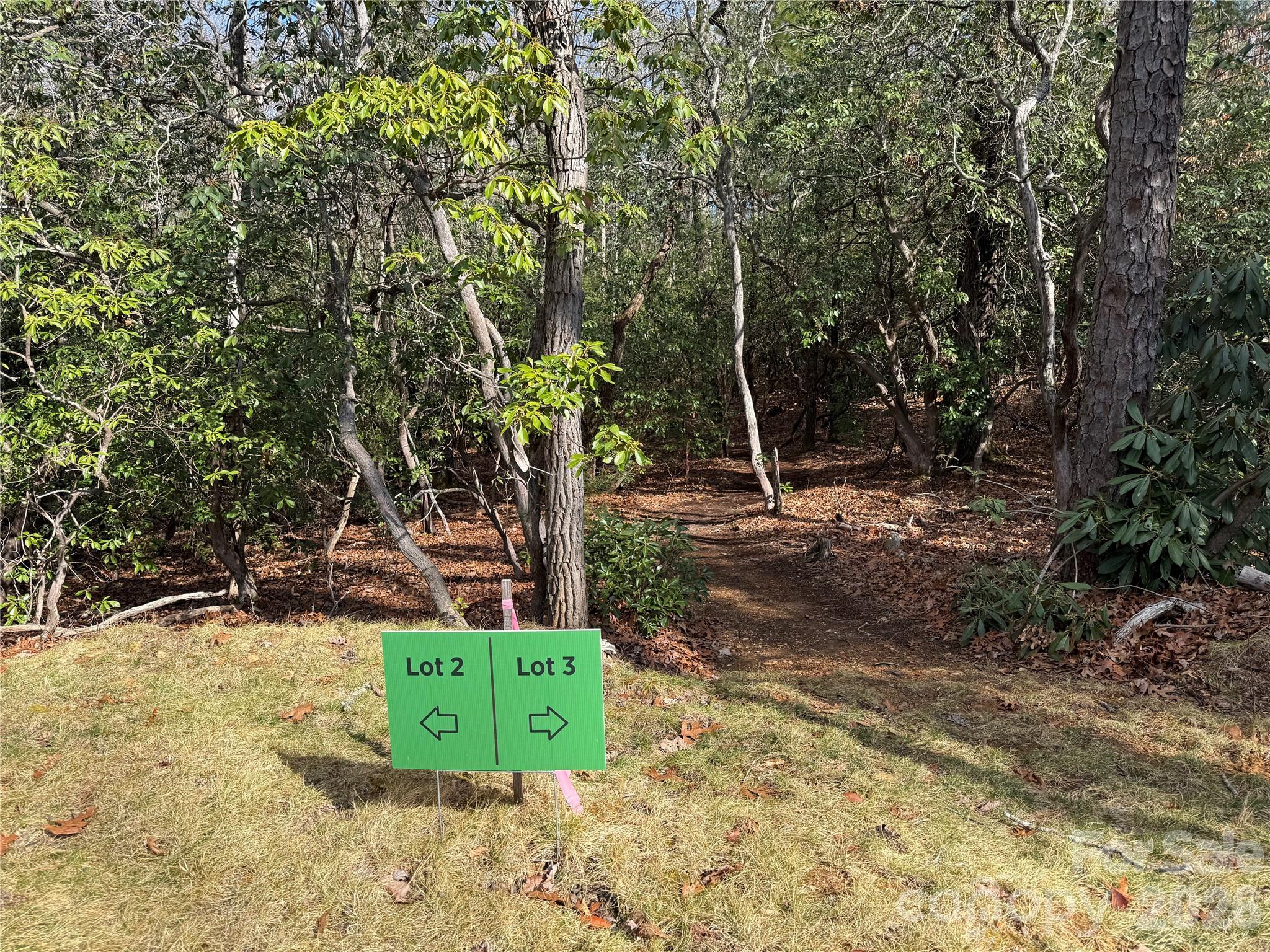 Tract 3 Turtle Ridge Trail Property Photo 9