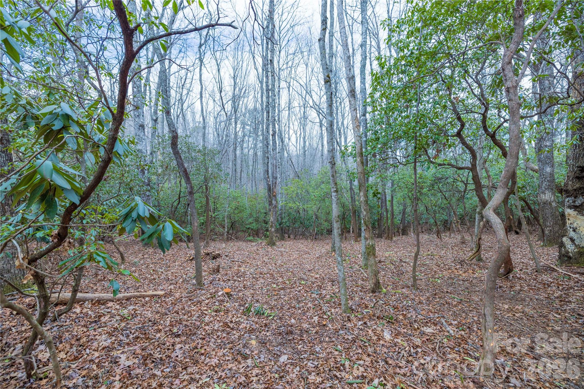 Tract 1 Turtle Ridge Trail Property Photo 1