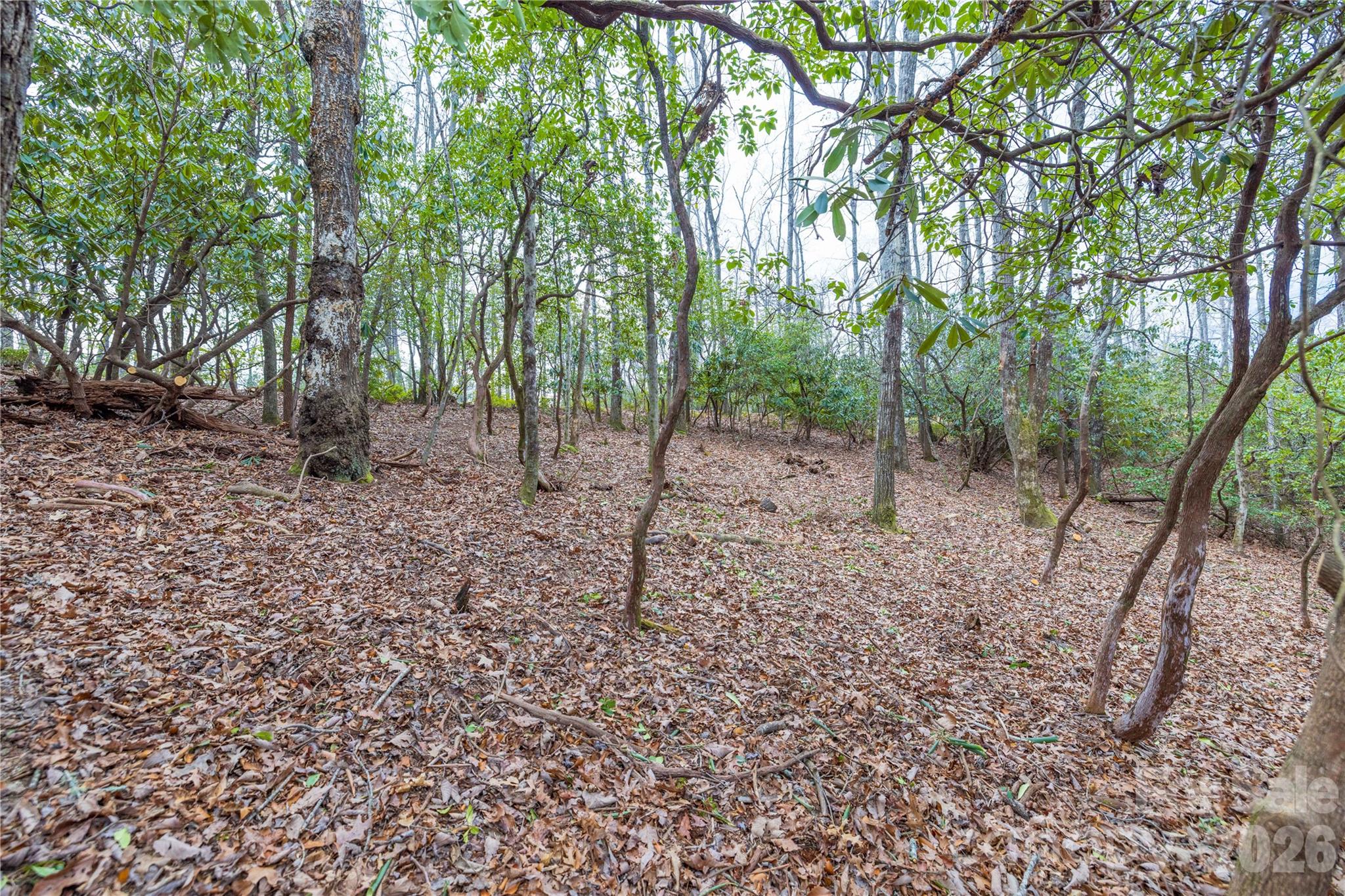 Tract 1 Turtle Ridge Trail Property Photo 6