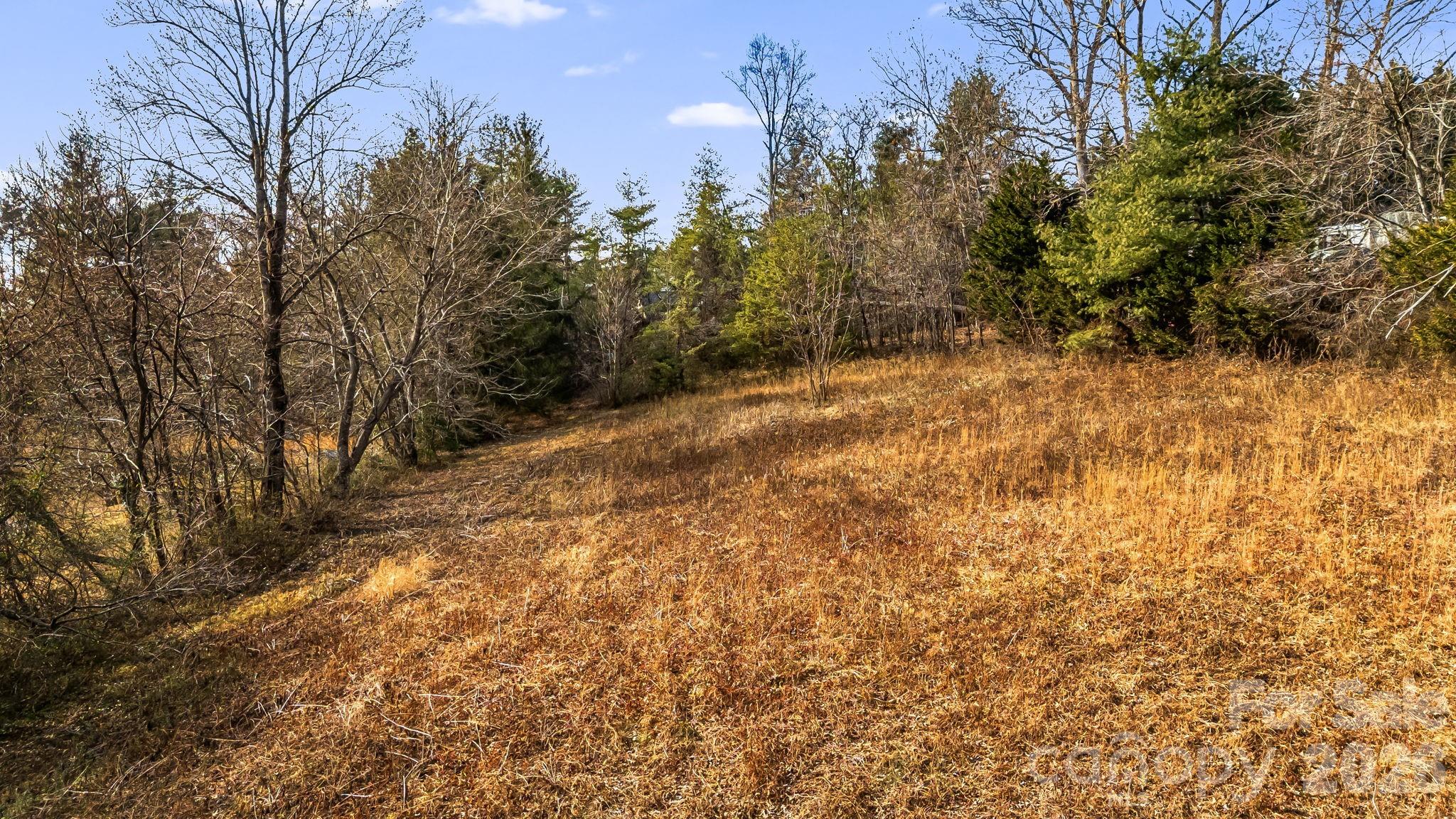 1236 Upper Brush Creek Road Property Photo 4