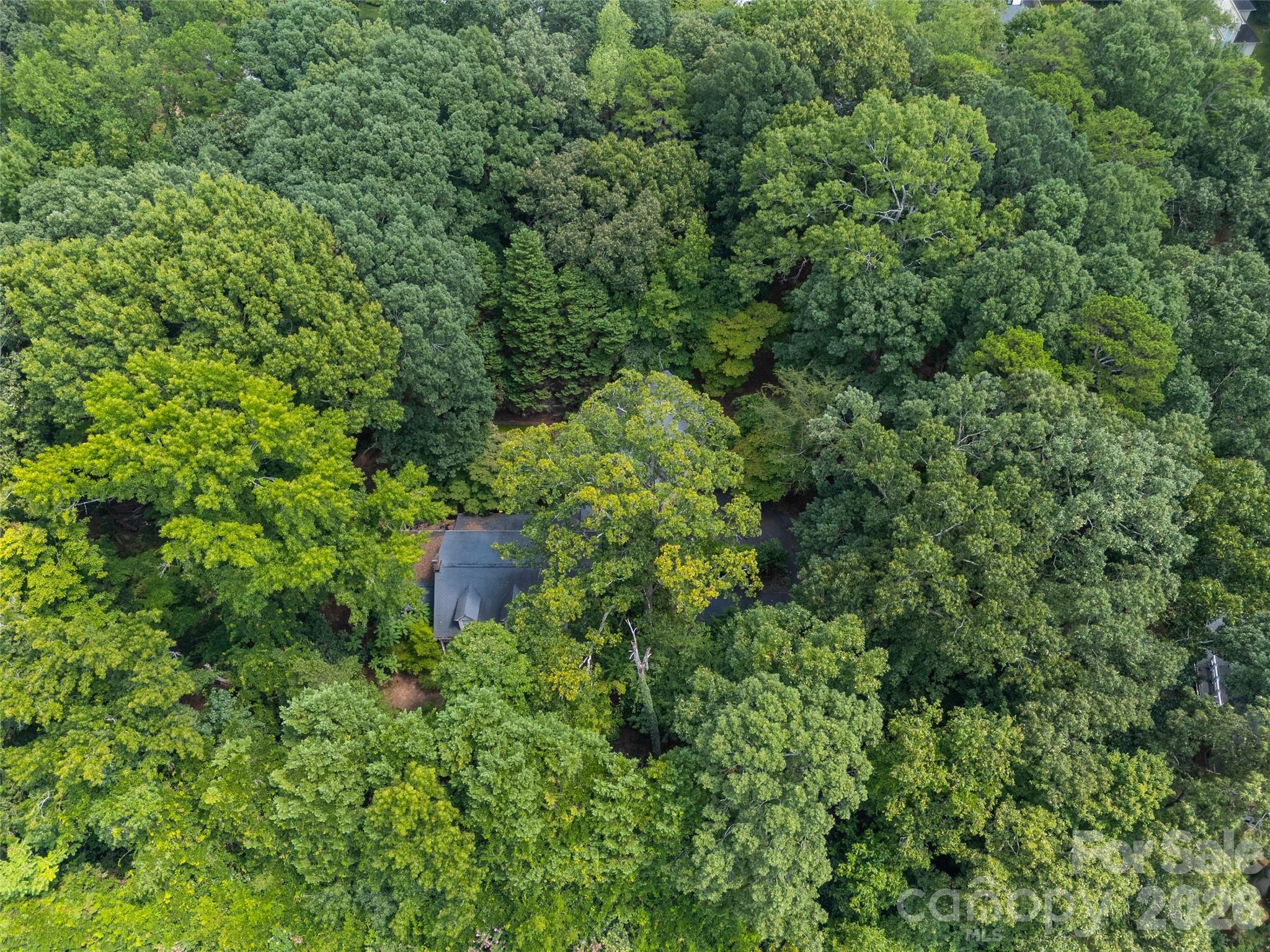 7707 Park Road Property Photo 3