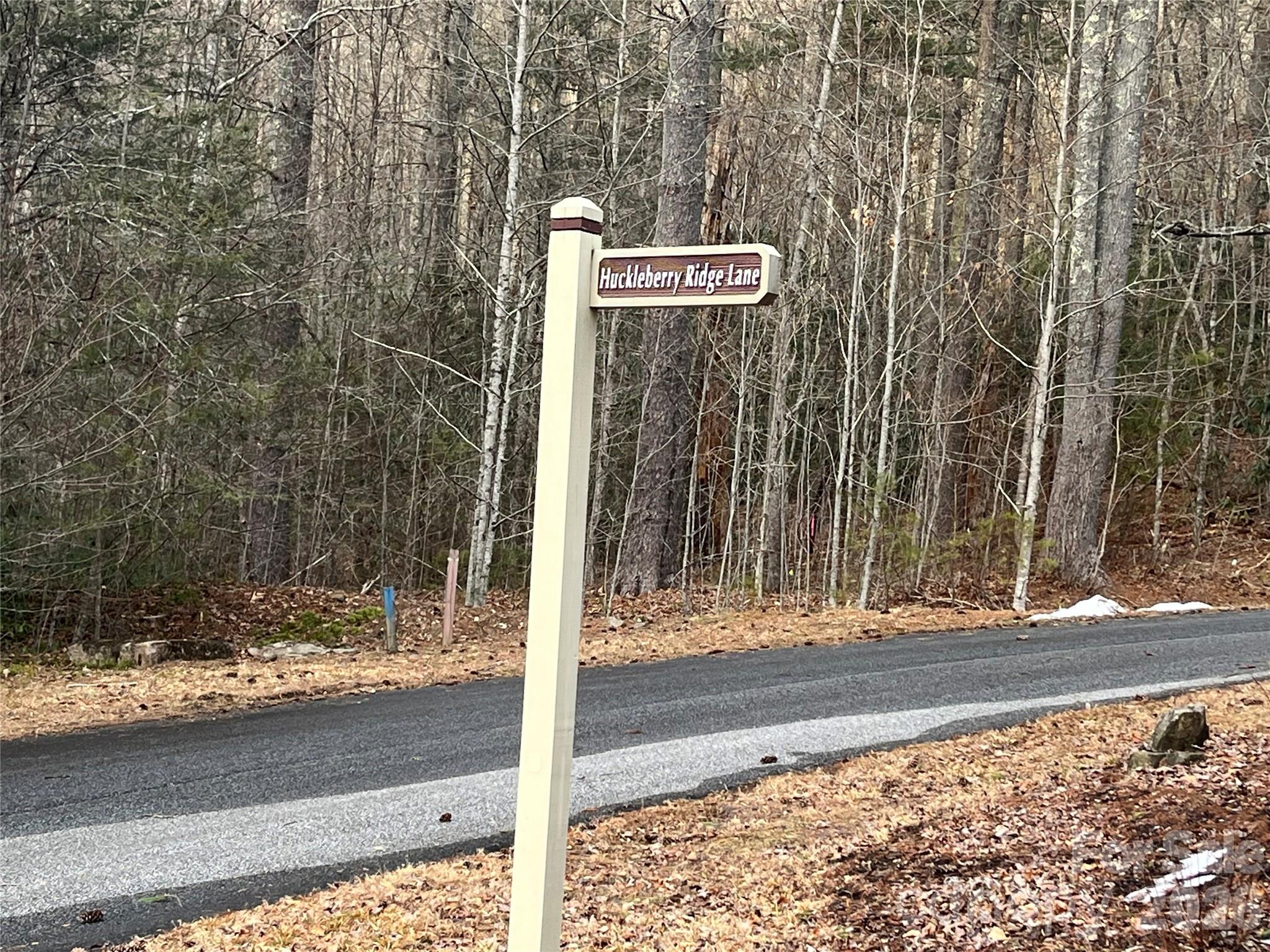 Lot 117 Huckleberry Ridge Lane Property Photo 7