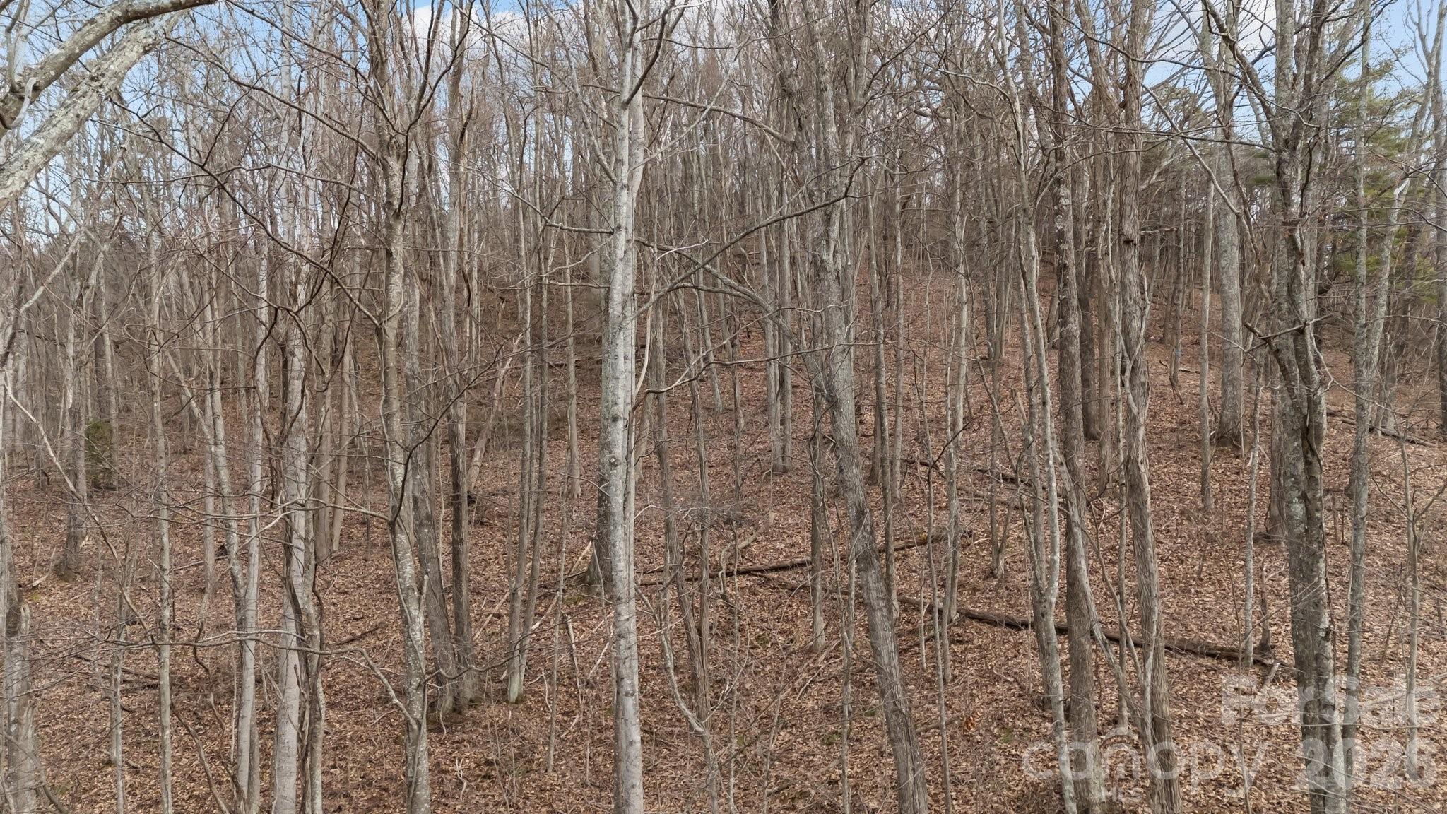 99999 Haynes Cove Property Photo 3