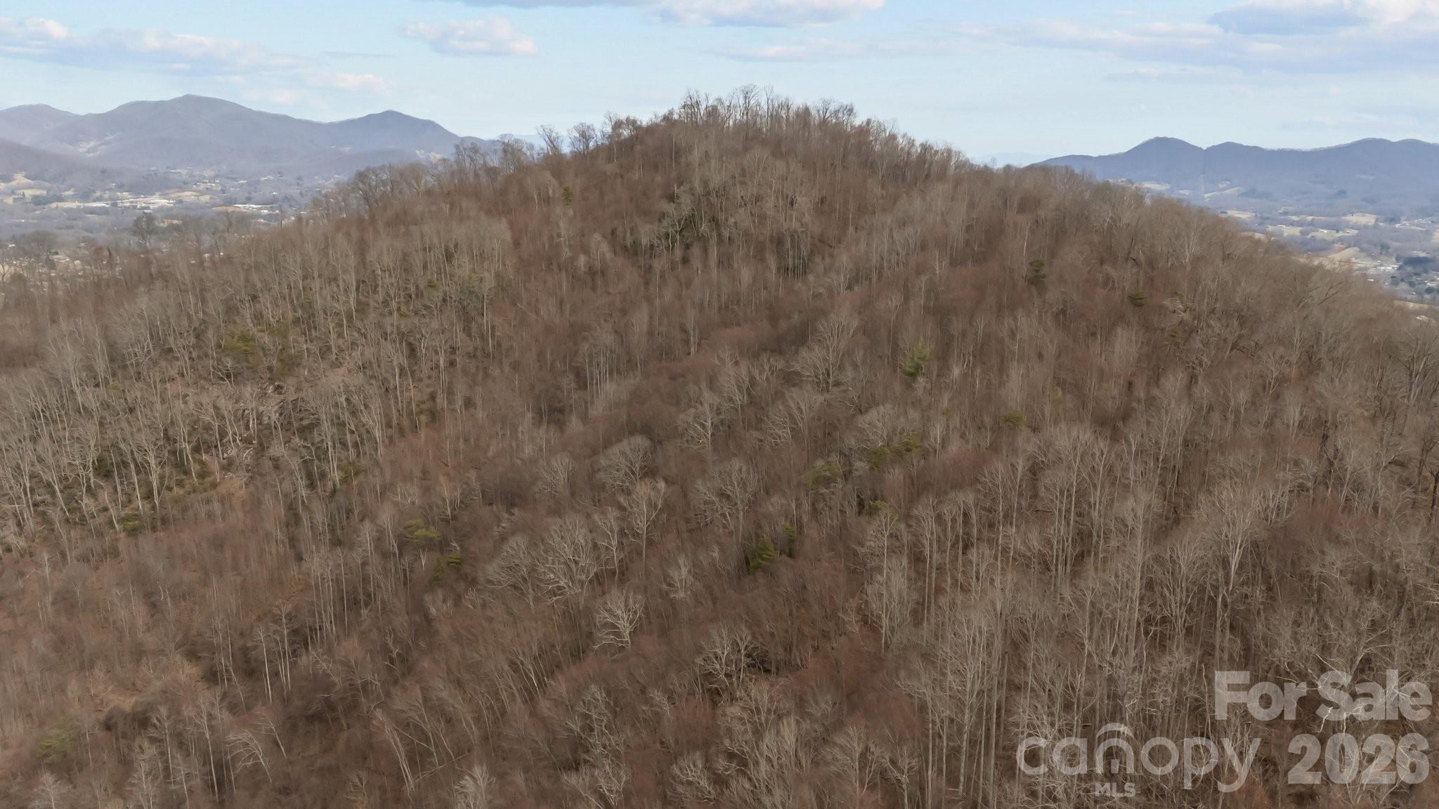 99999 Haynes Cove Property Photo 4