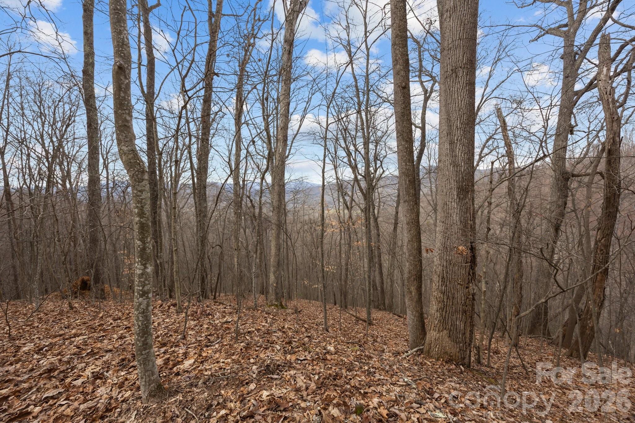 99999 Haynes Cove Property Photo 12