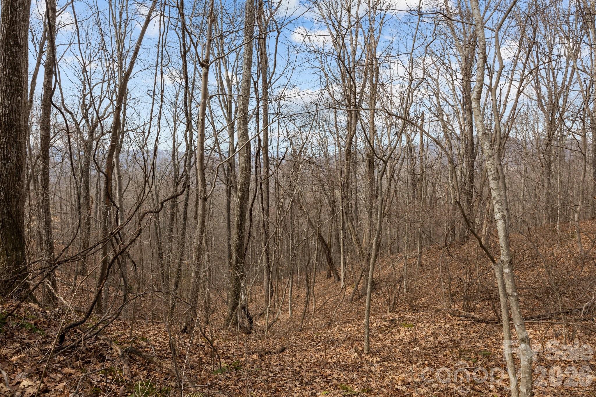 99999 Haynes Cove Property Photo 13