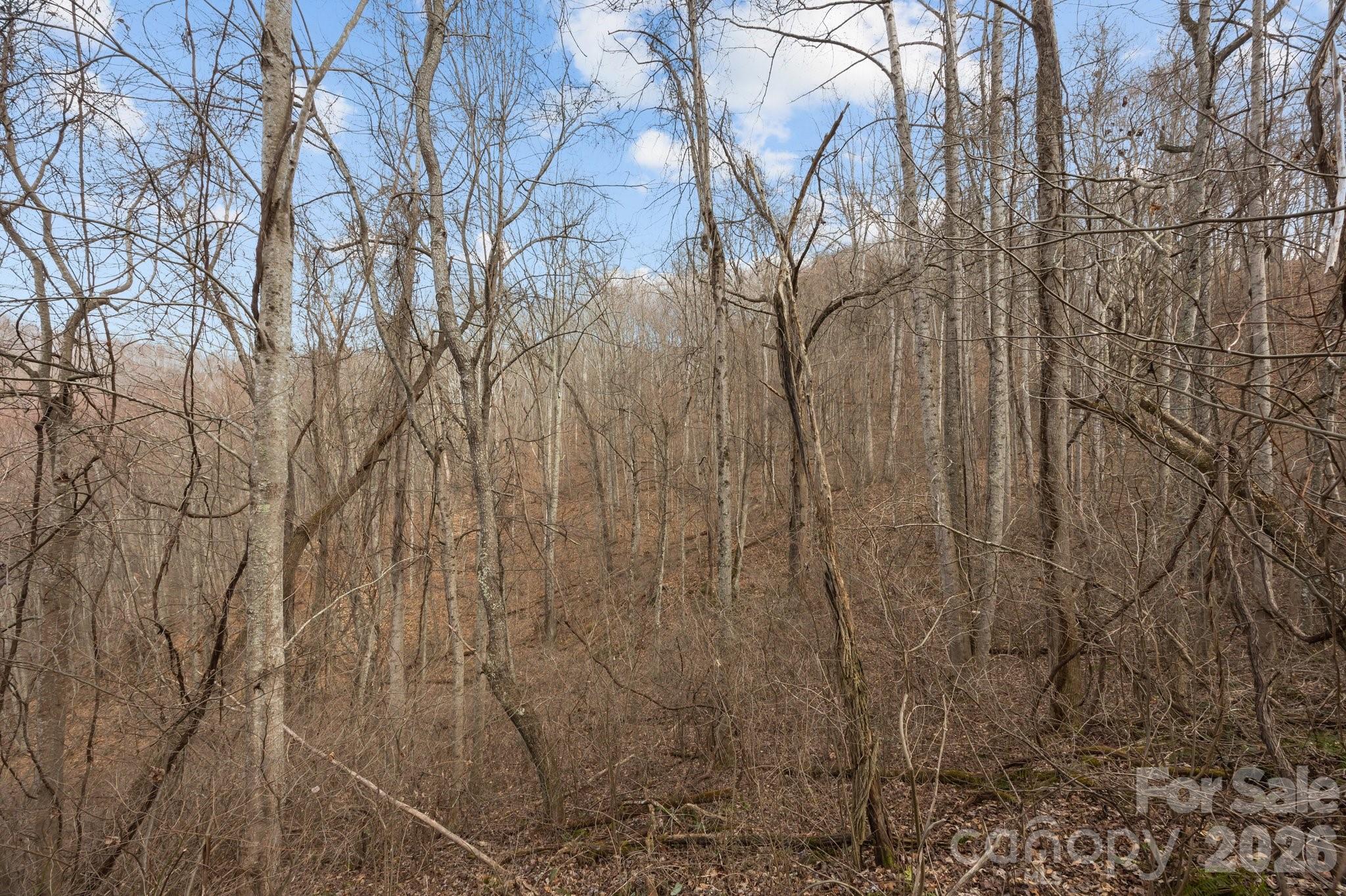 99999 Haynes Cove Property Photo 15
