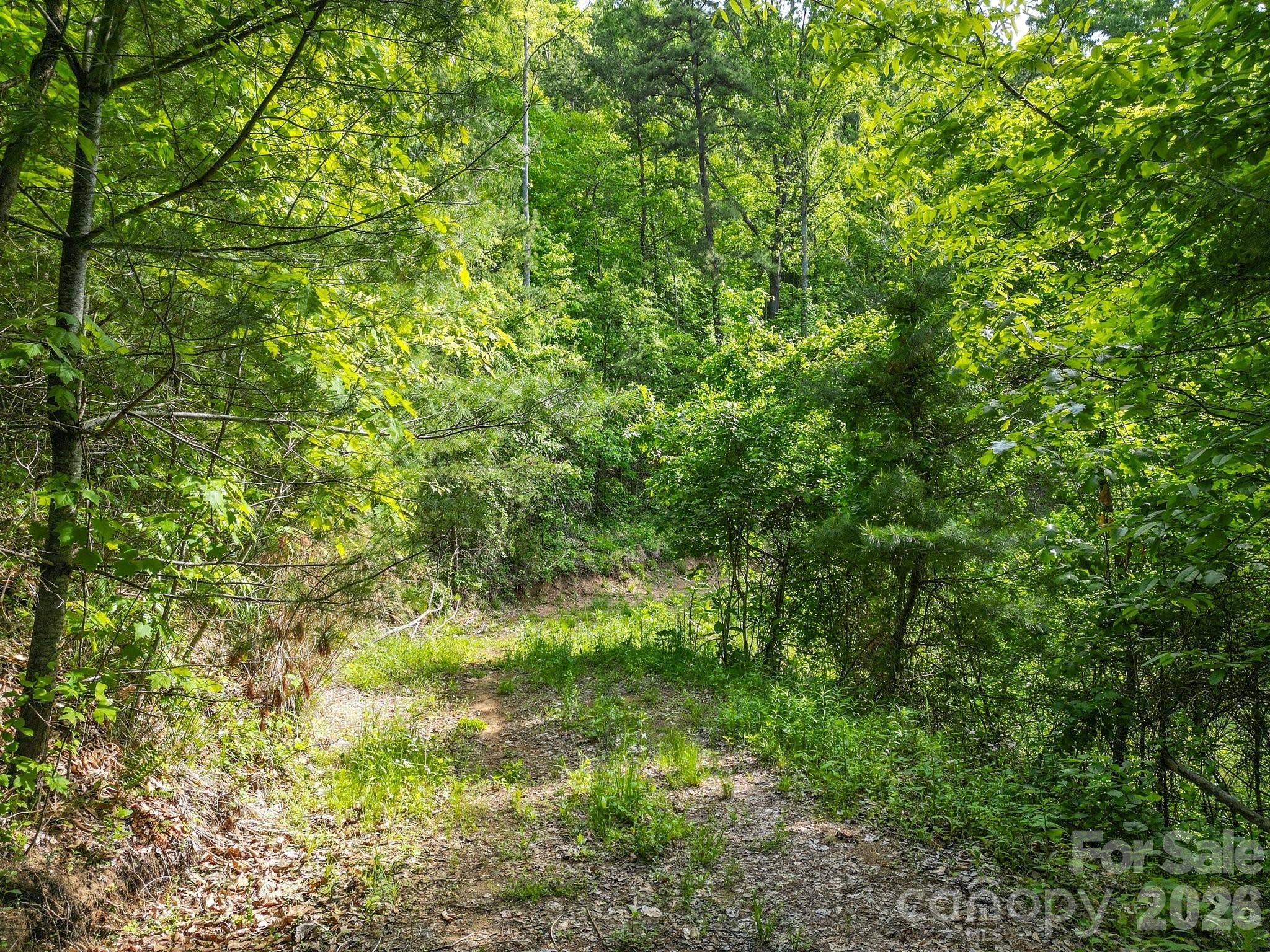 138 Whitfield Lane Property Photo 13