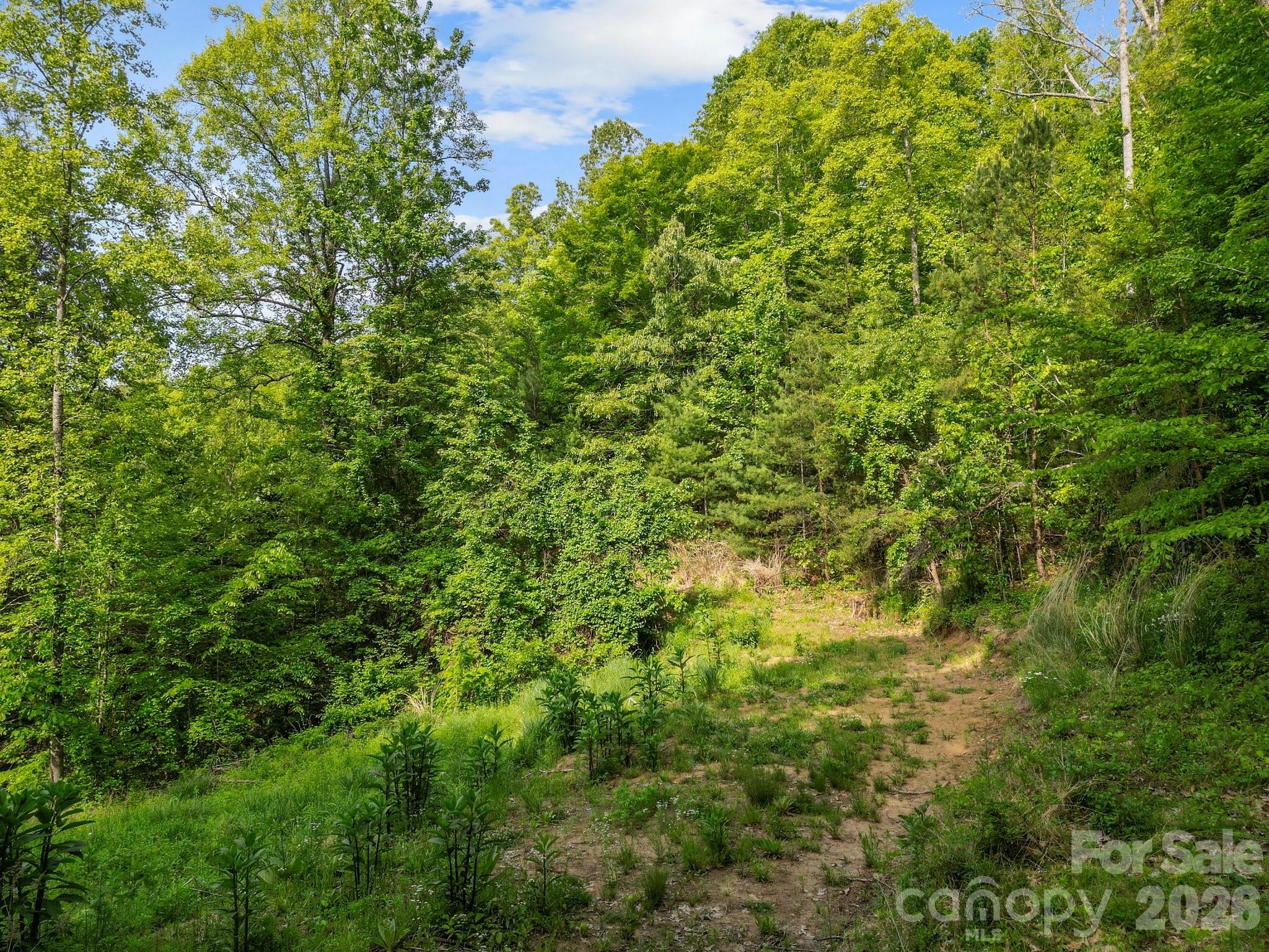 138 Whitfield Lane Property Photo 16