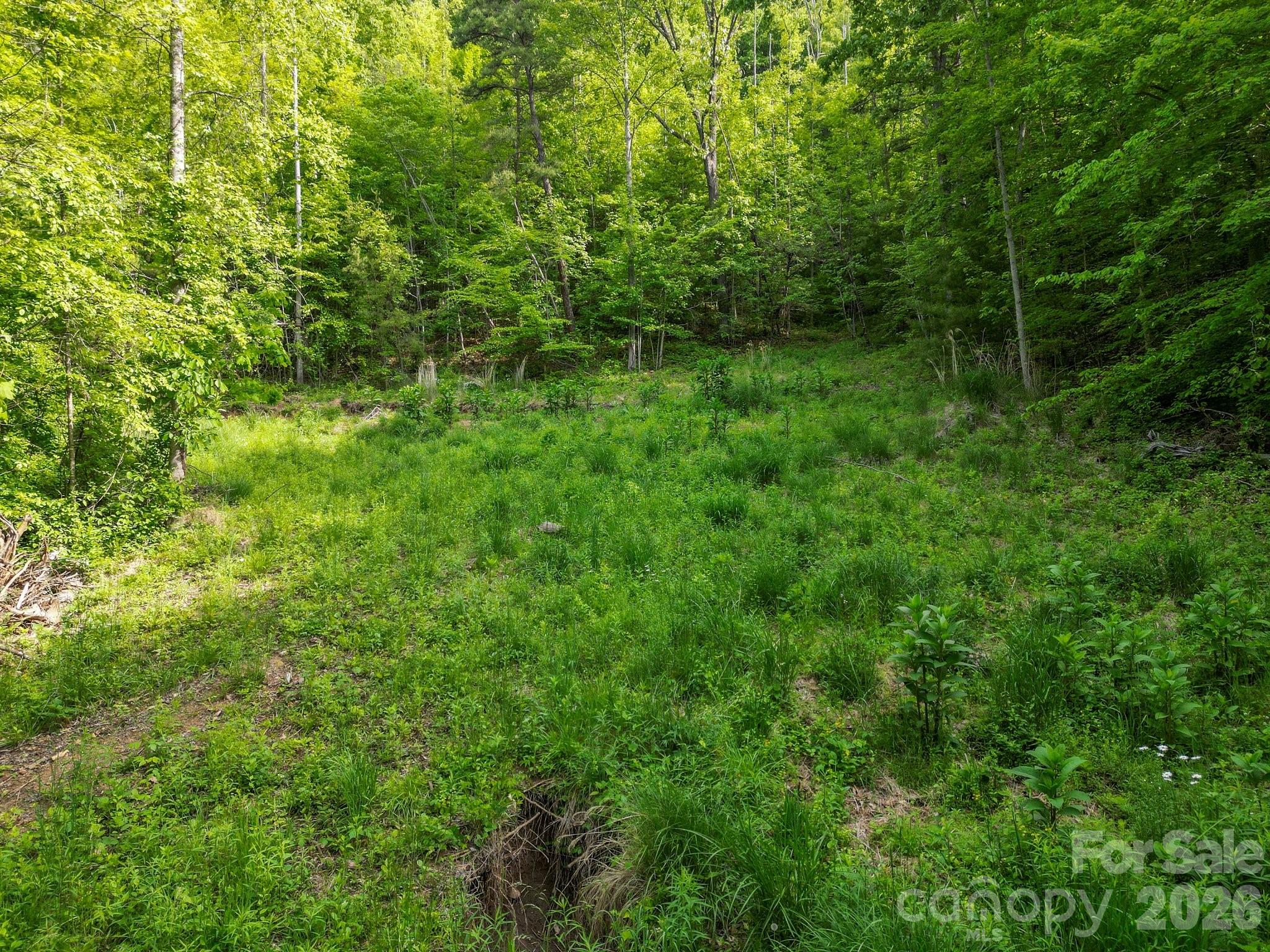 138 Whitfield Lane Property Photo 17
