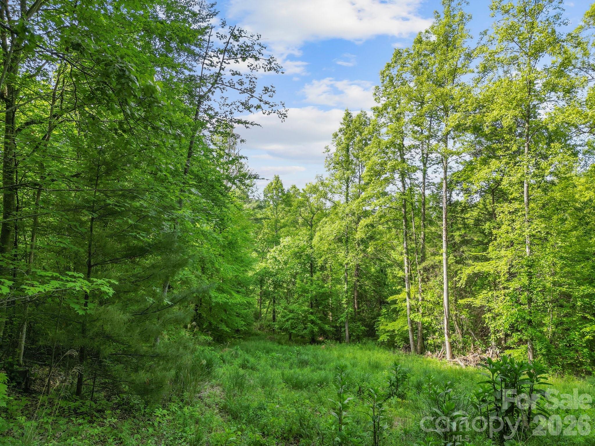 138 Whitfield Lane Property Photo 18