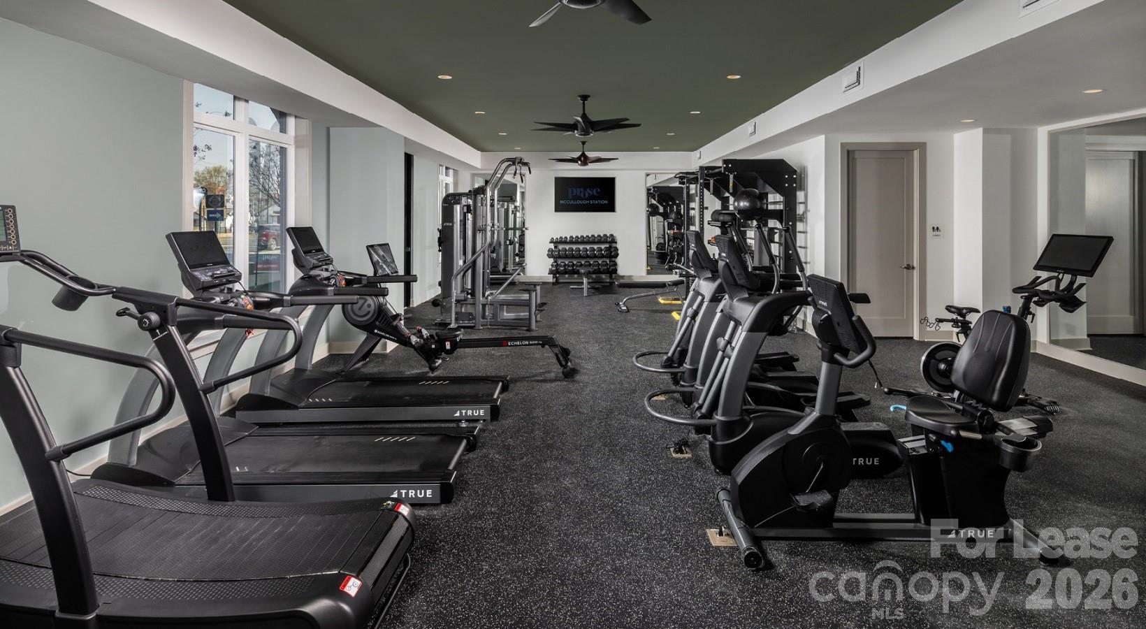 8424 N Tryon Street B3 Property Photo 6