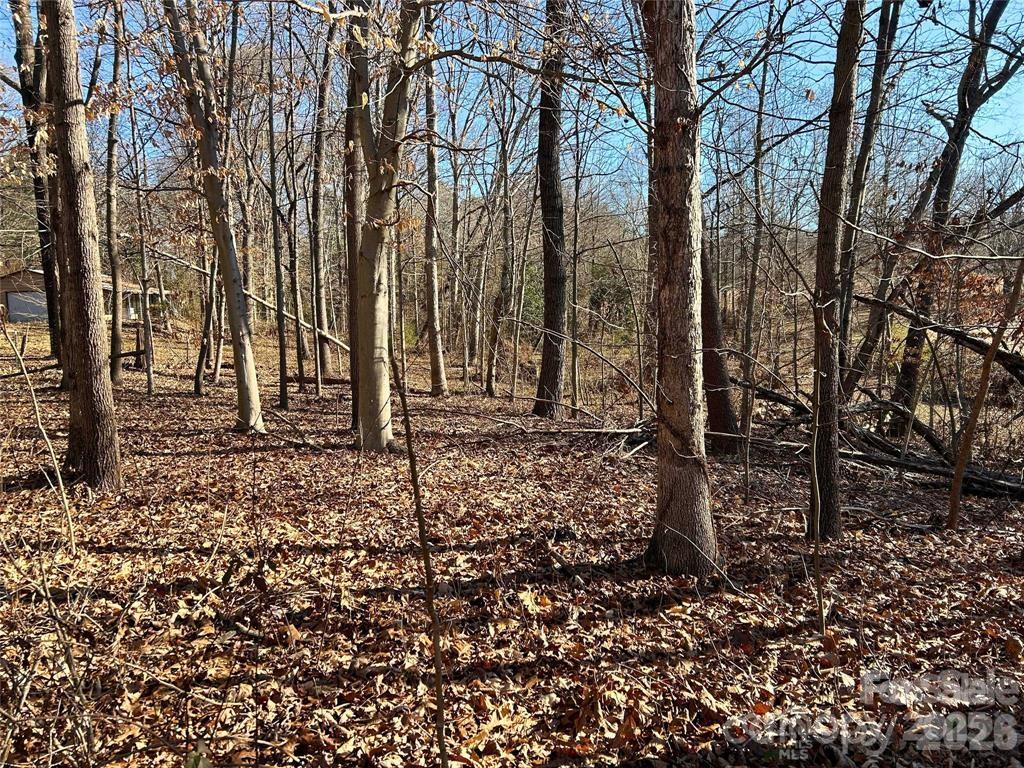 00 Walker Branch Road Property Photo 3