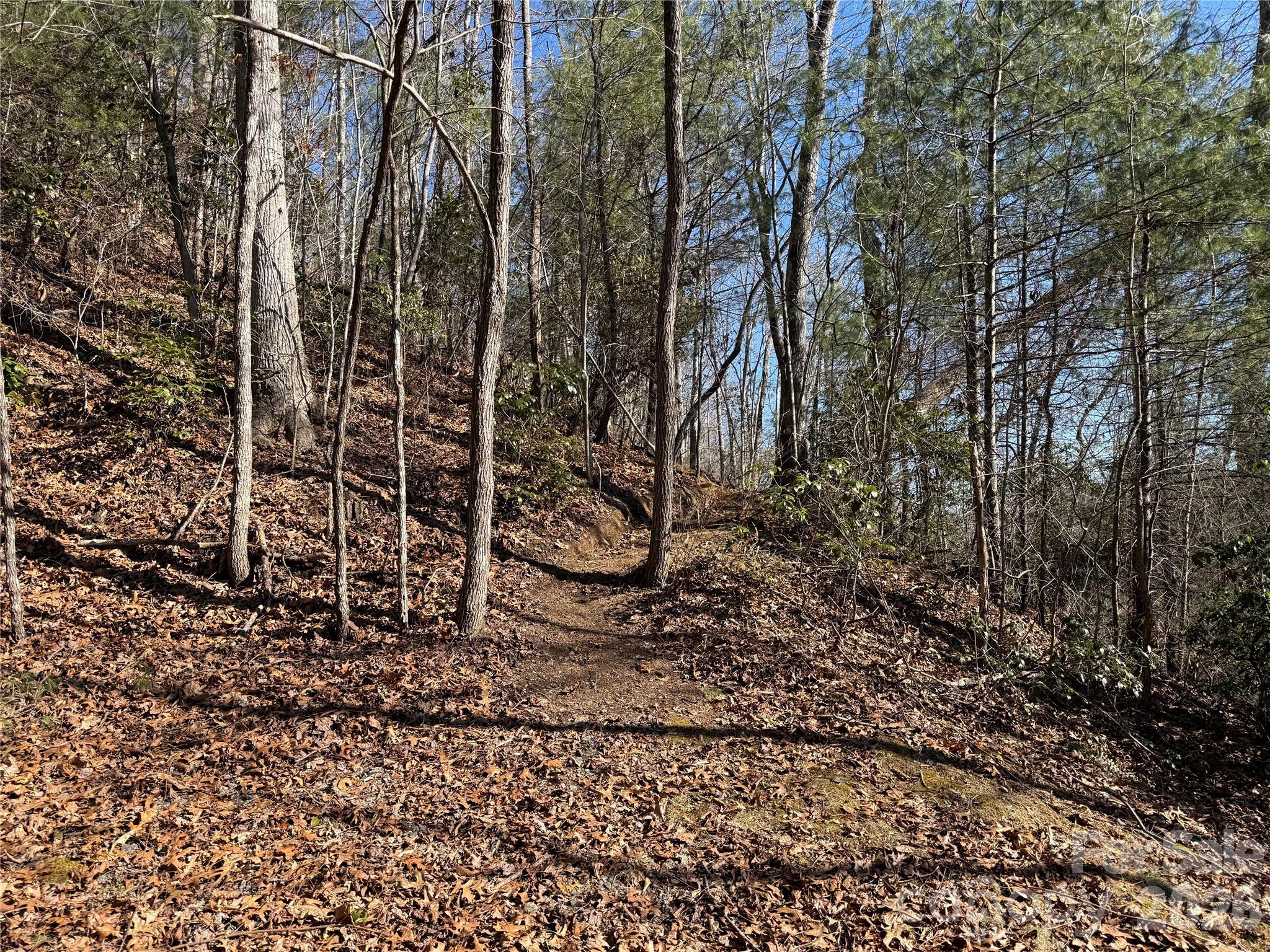 33 High Point Trail Property Photo 3