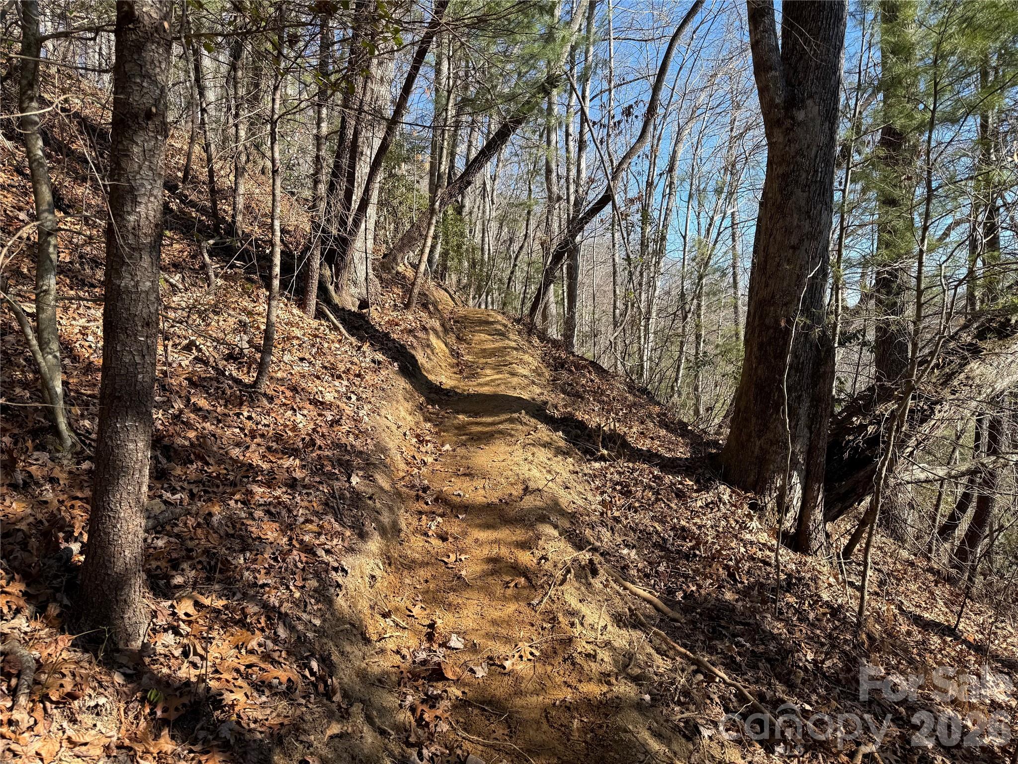 33 High Point Trail Property Photo 4