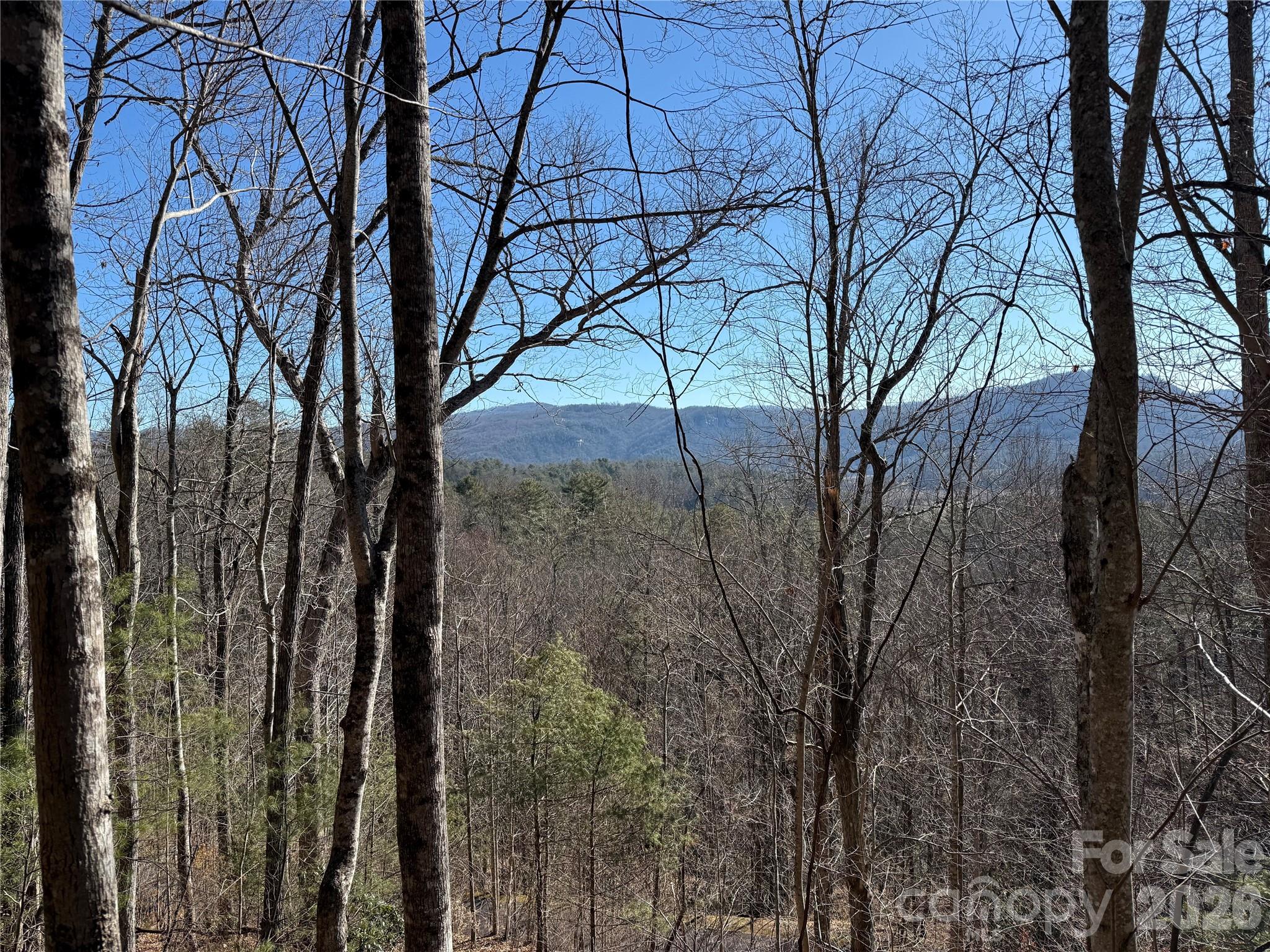 33 High Point Trail Property Photo 5