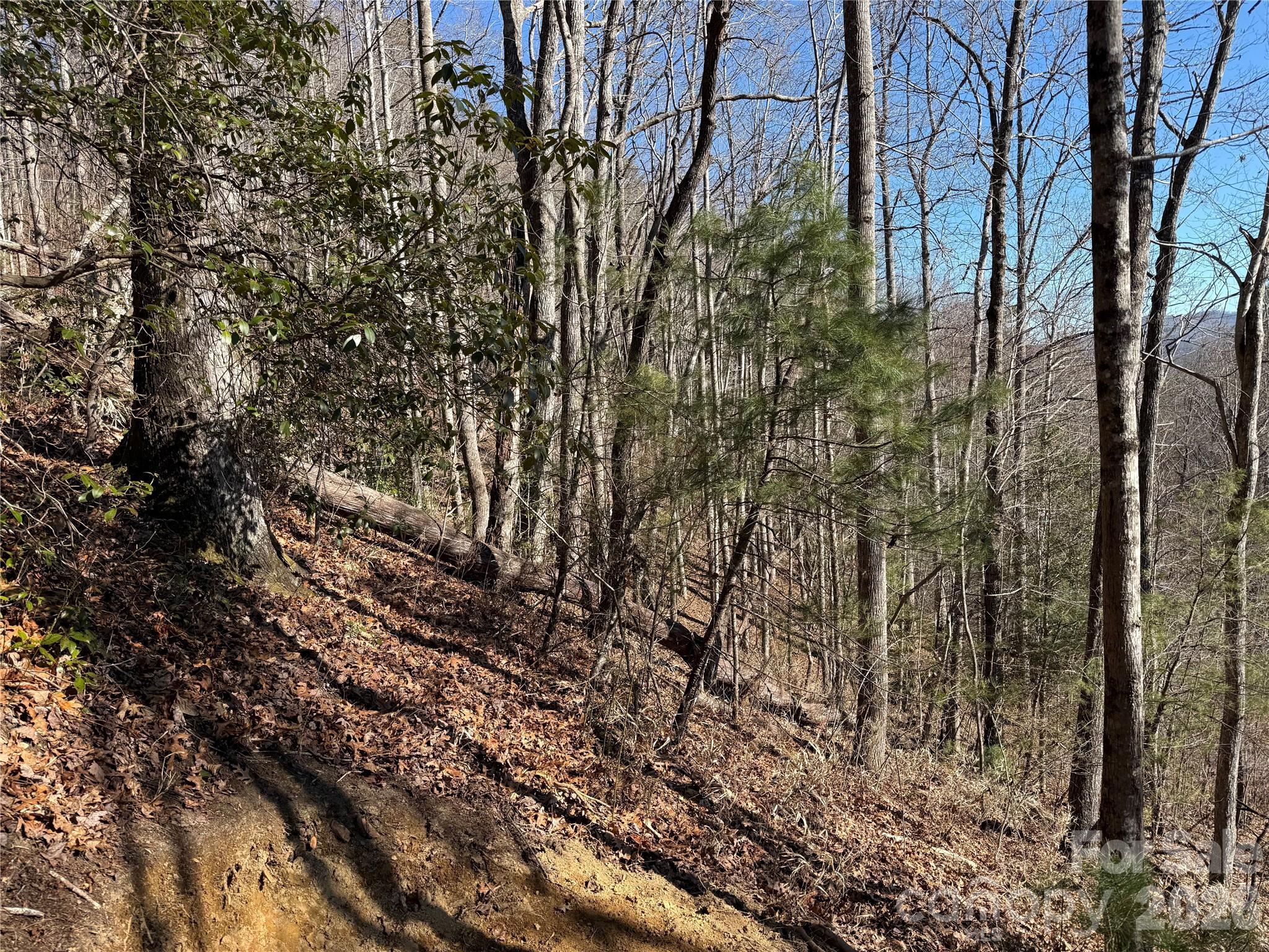 33 High Point Trail Property Photo 6