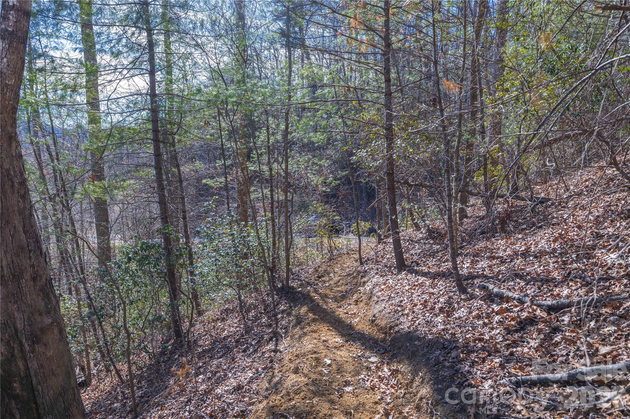 33 High Point Trail Property Photo 17