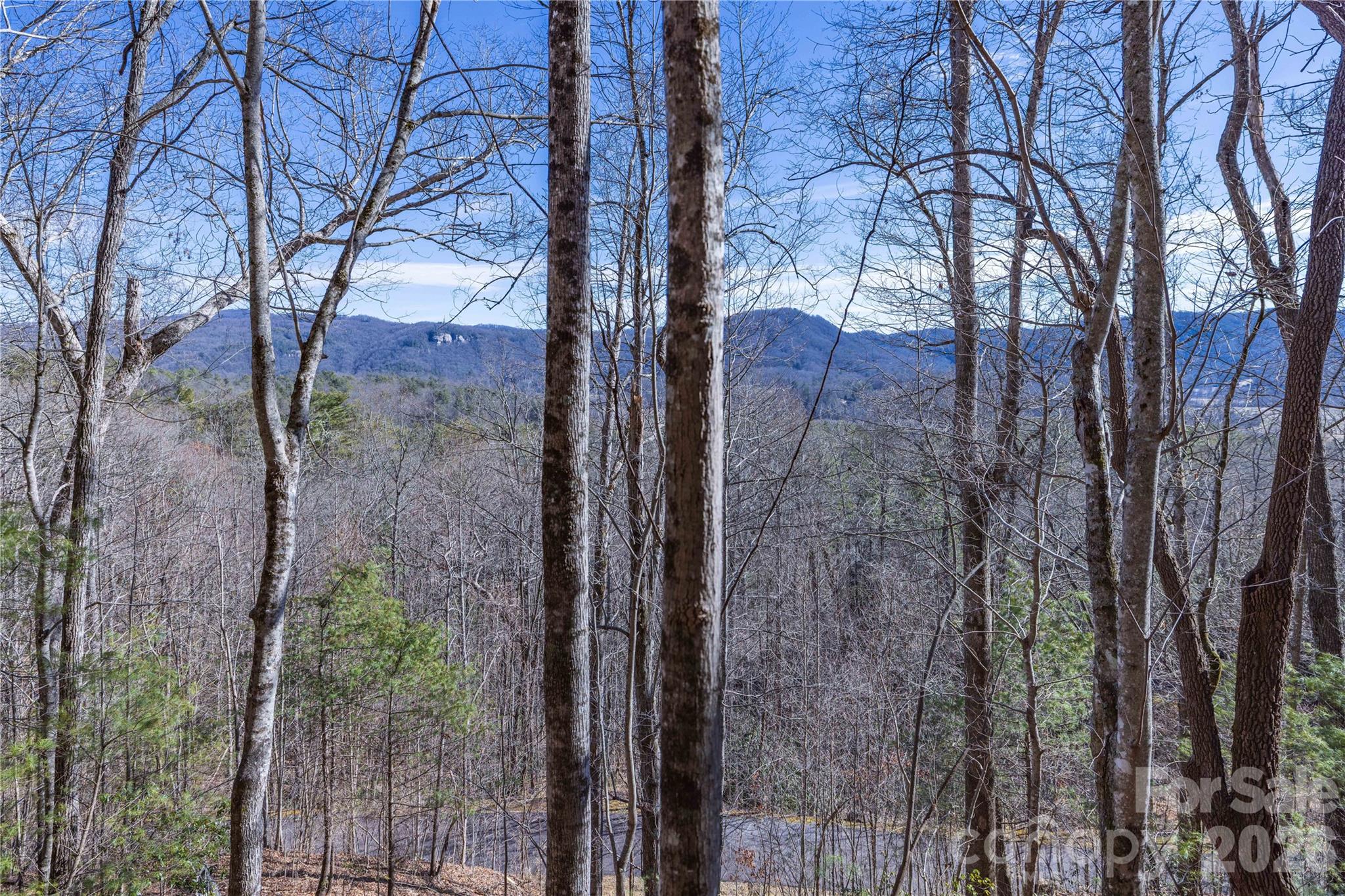 33 High Point Trail Property Photo 18