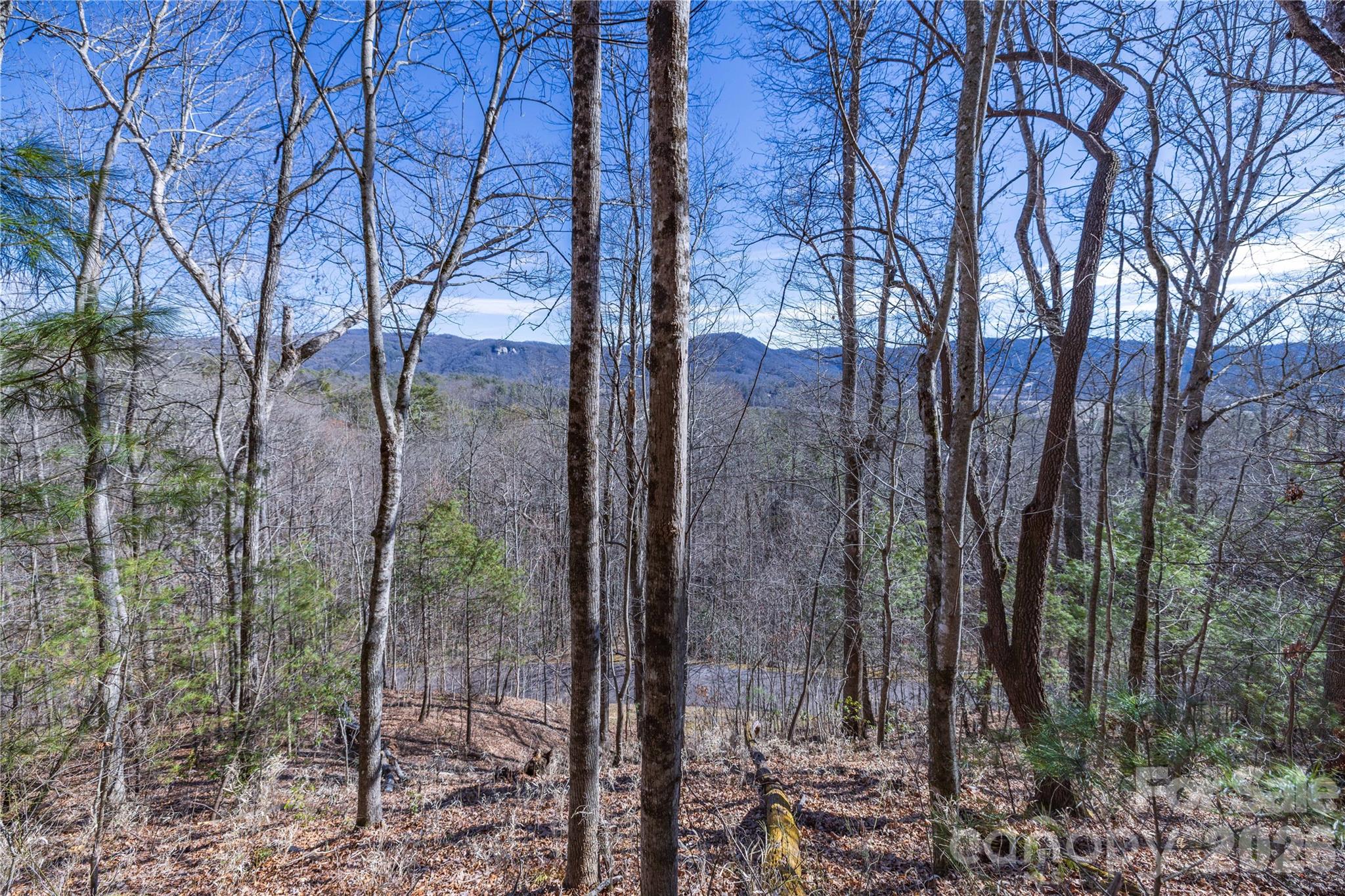 33 High Point Trail Property Photo 19