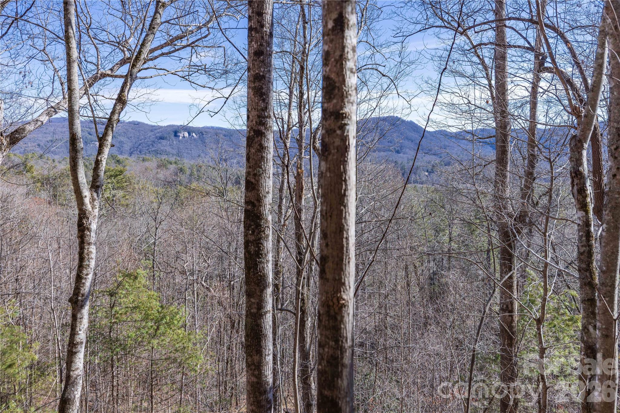 33 High Point Trail Property Photo 20