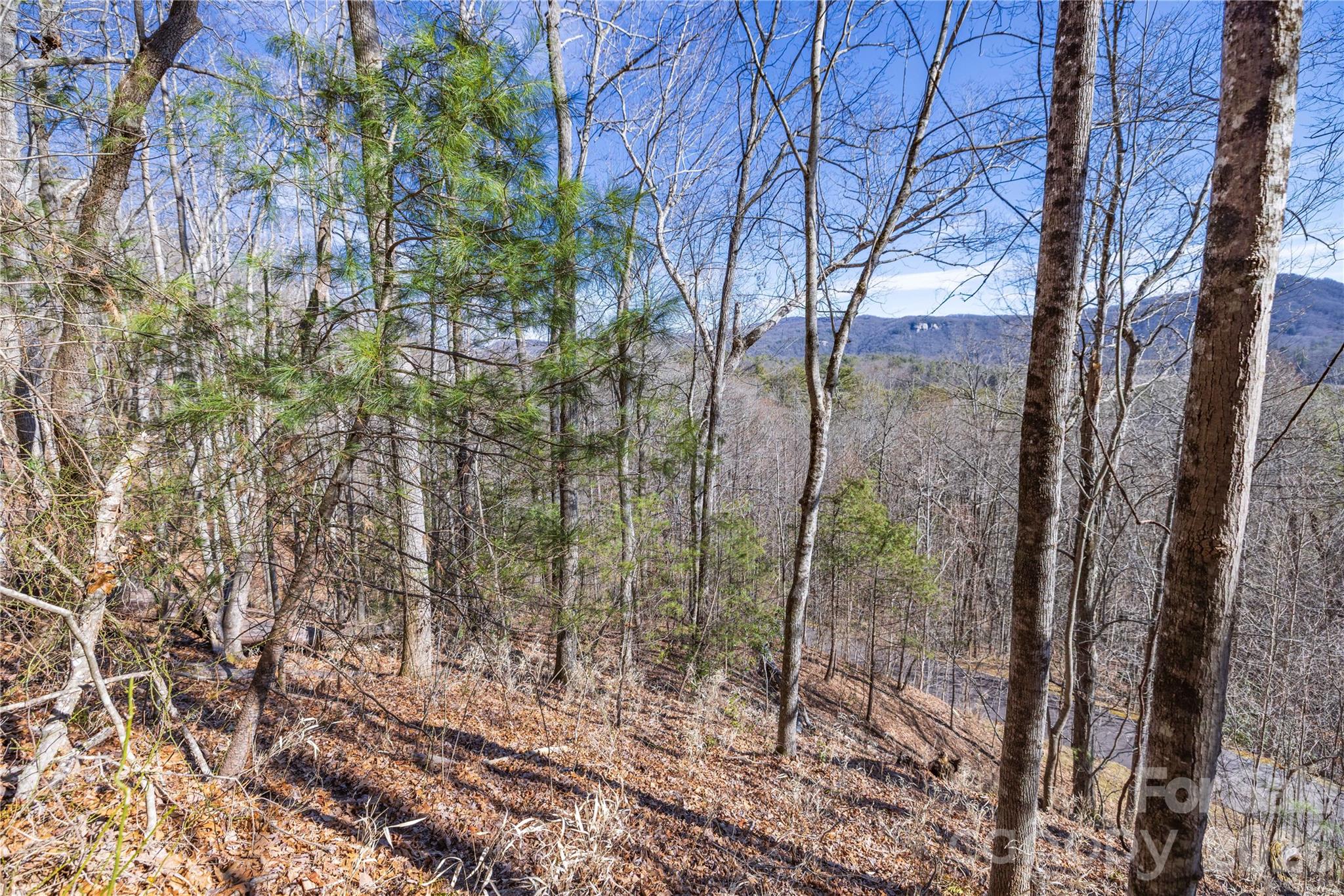 33 High Point Trail Property Photo 21