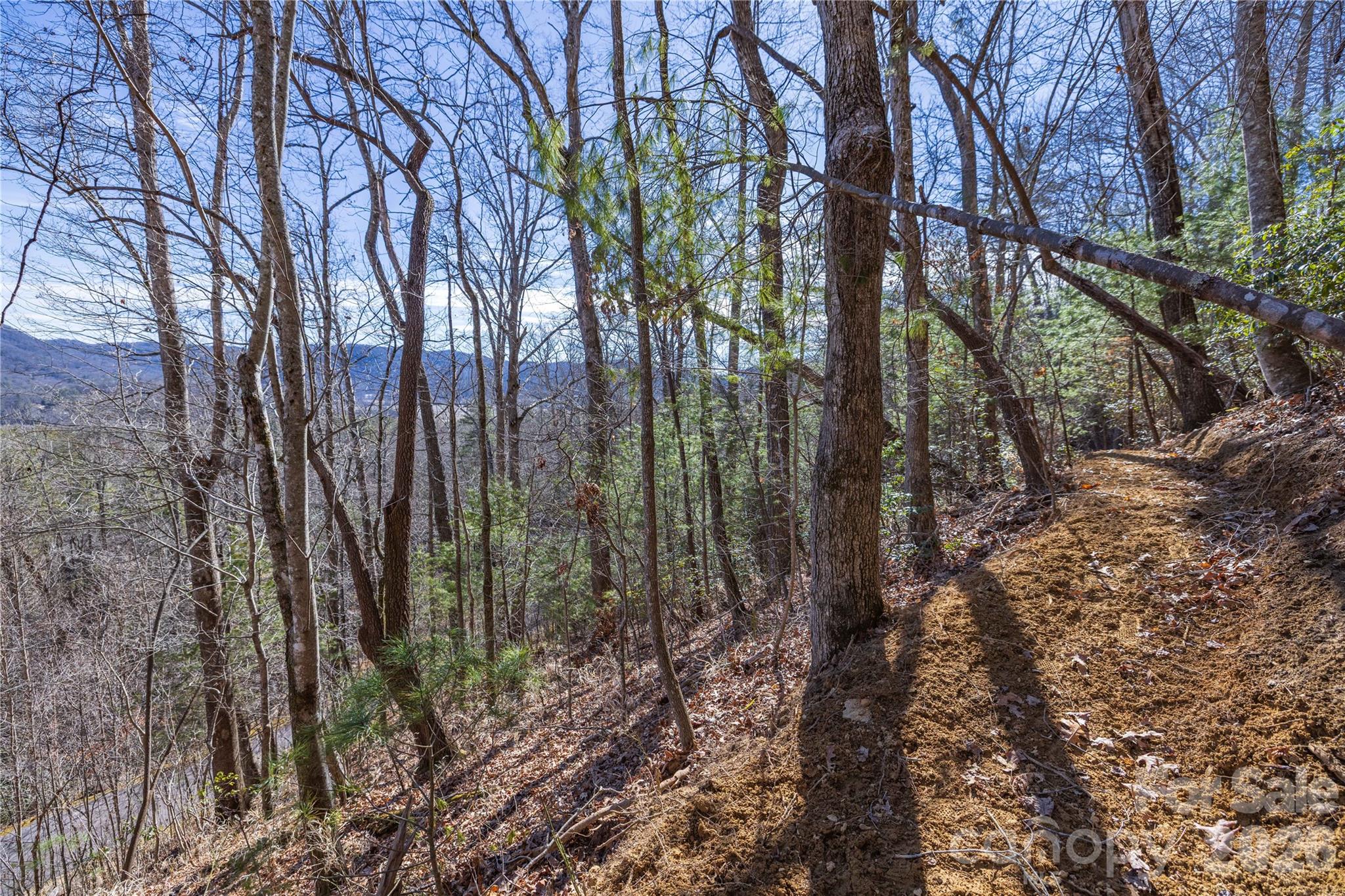 33 High Point Trail Property Photo 22