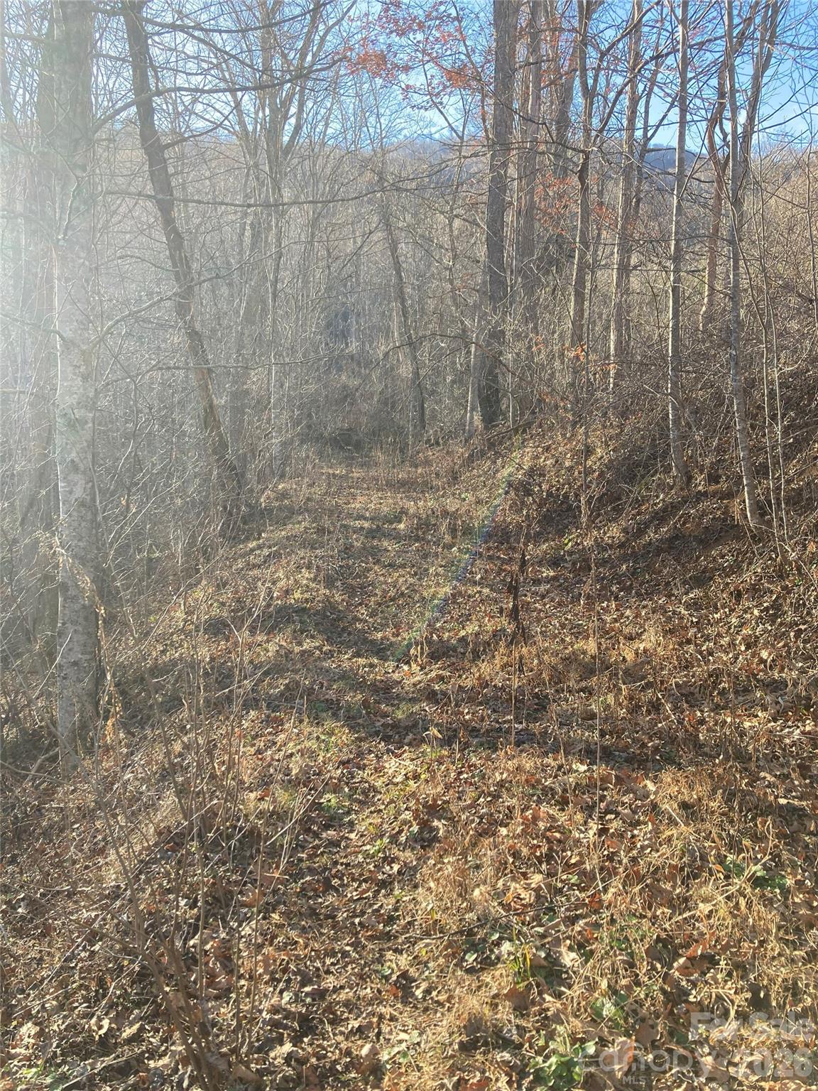 00 Sweet Creek Road Property Photo 7