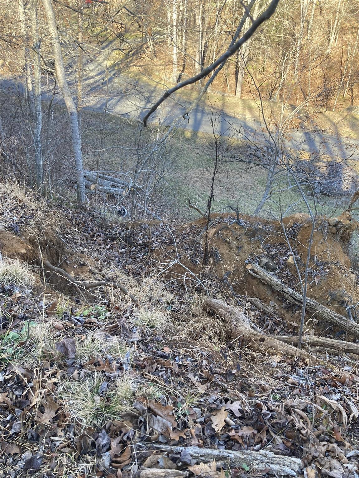 00 Sweet Creek Road Property Photo 8