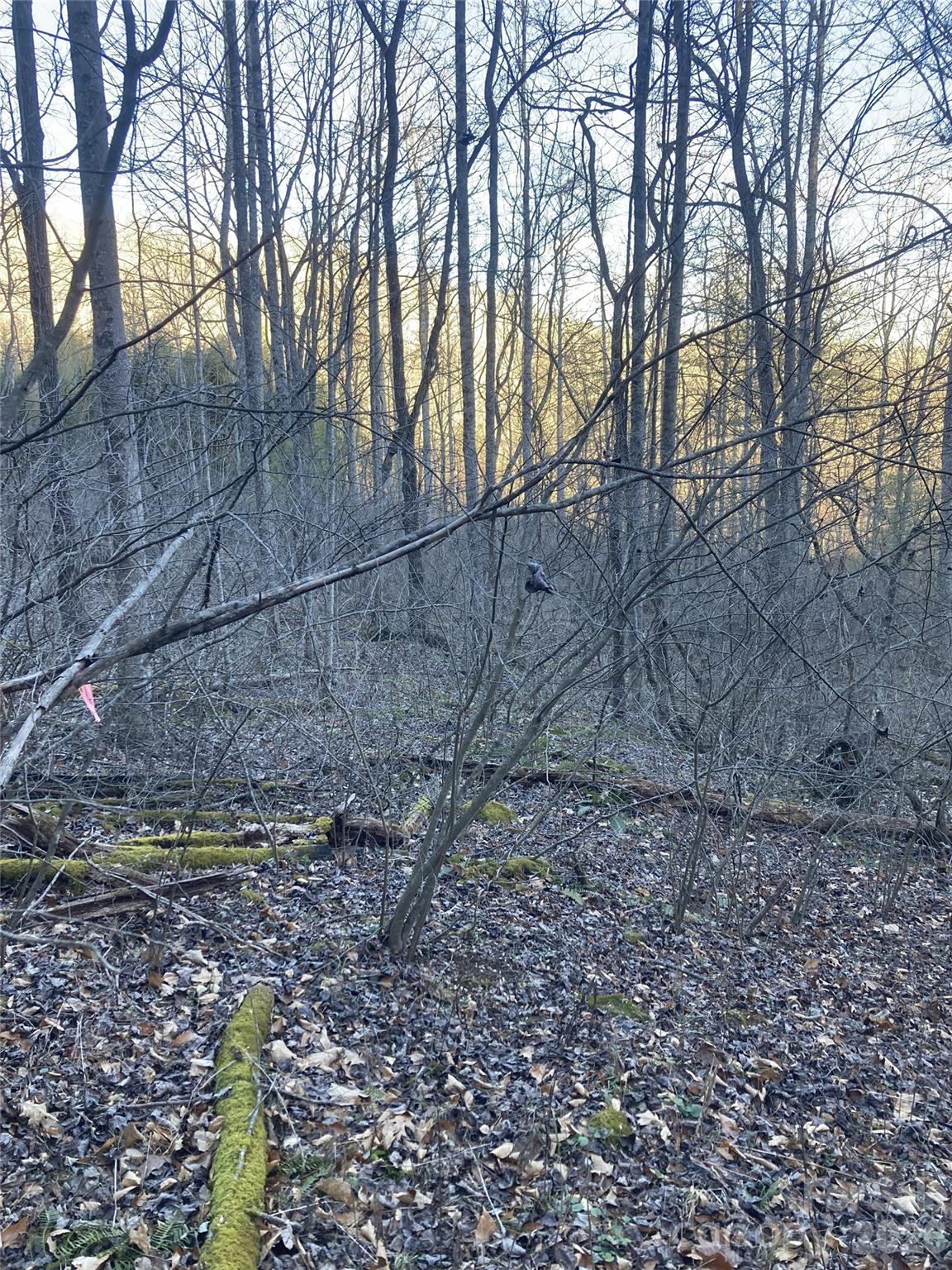 00 Sweet Creek Road Property Photo 10