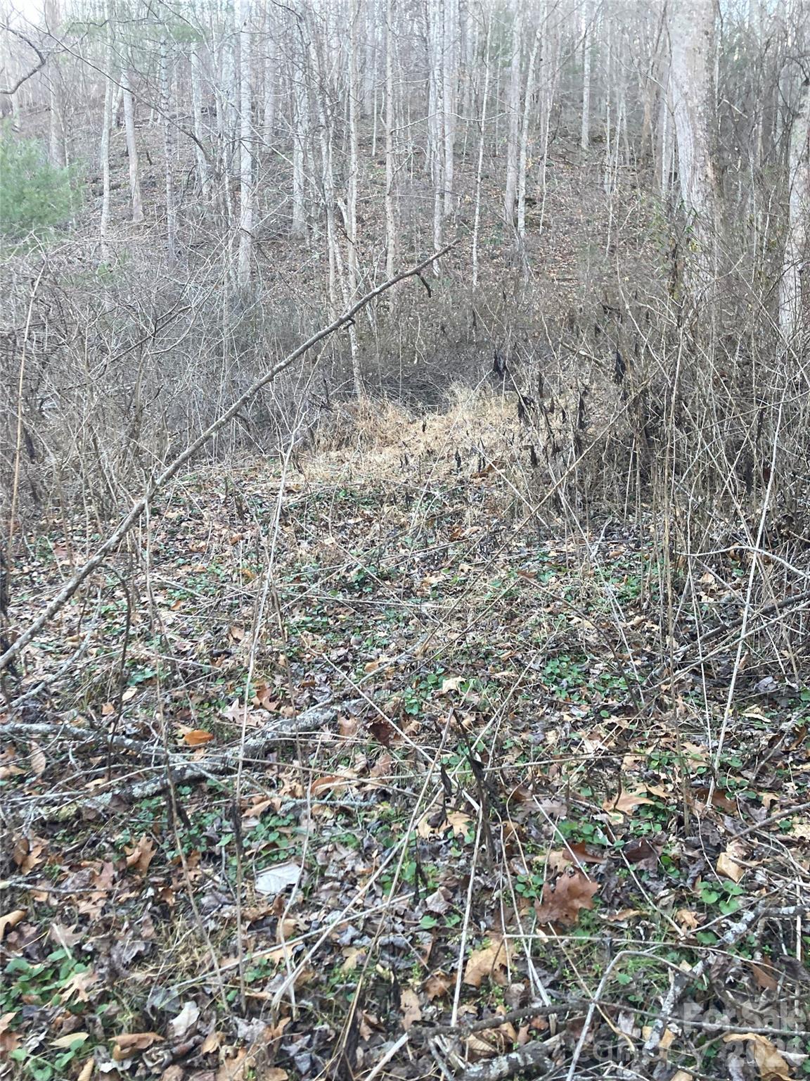00 Sweet Creek Road Property Photo 11