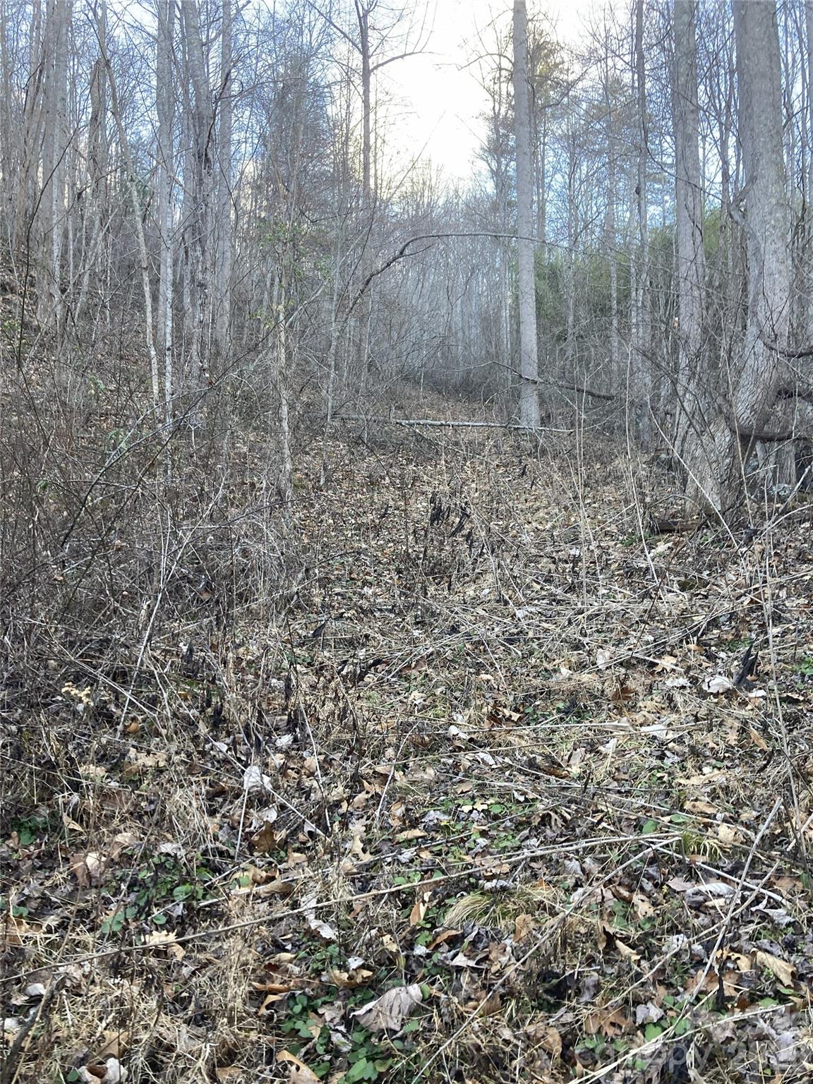 00 Sweet Creek Road Property Photo 12