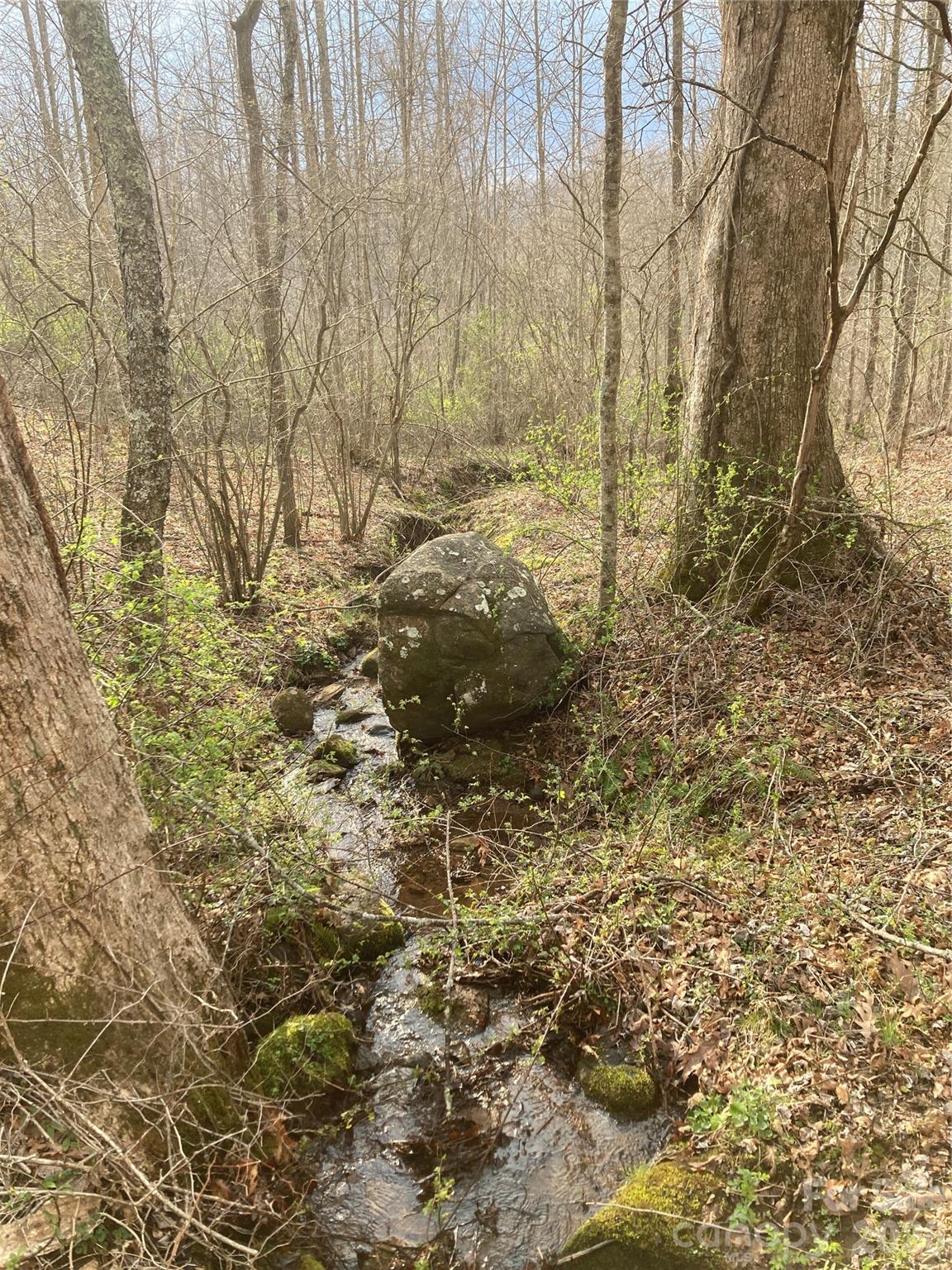 00 Sweet Creek Road Property Photo 14