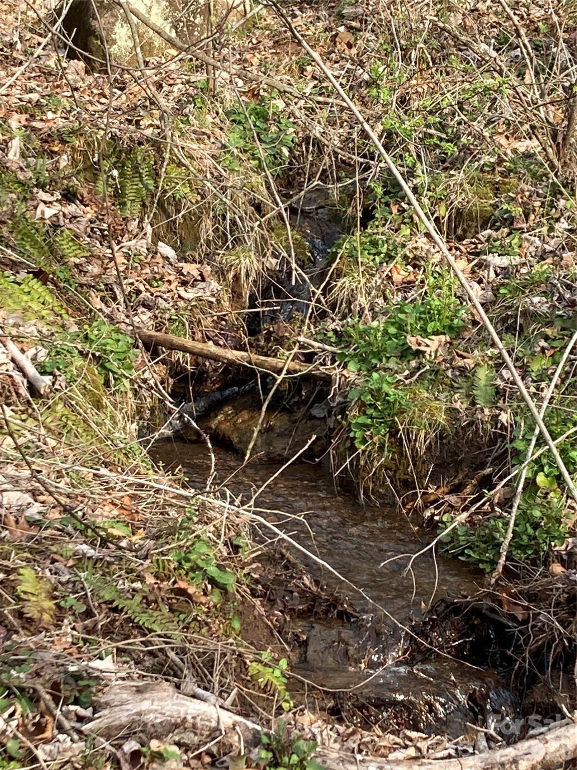 00 Sweet Creek Road Property Photo 15