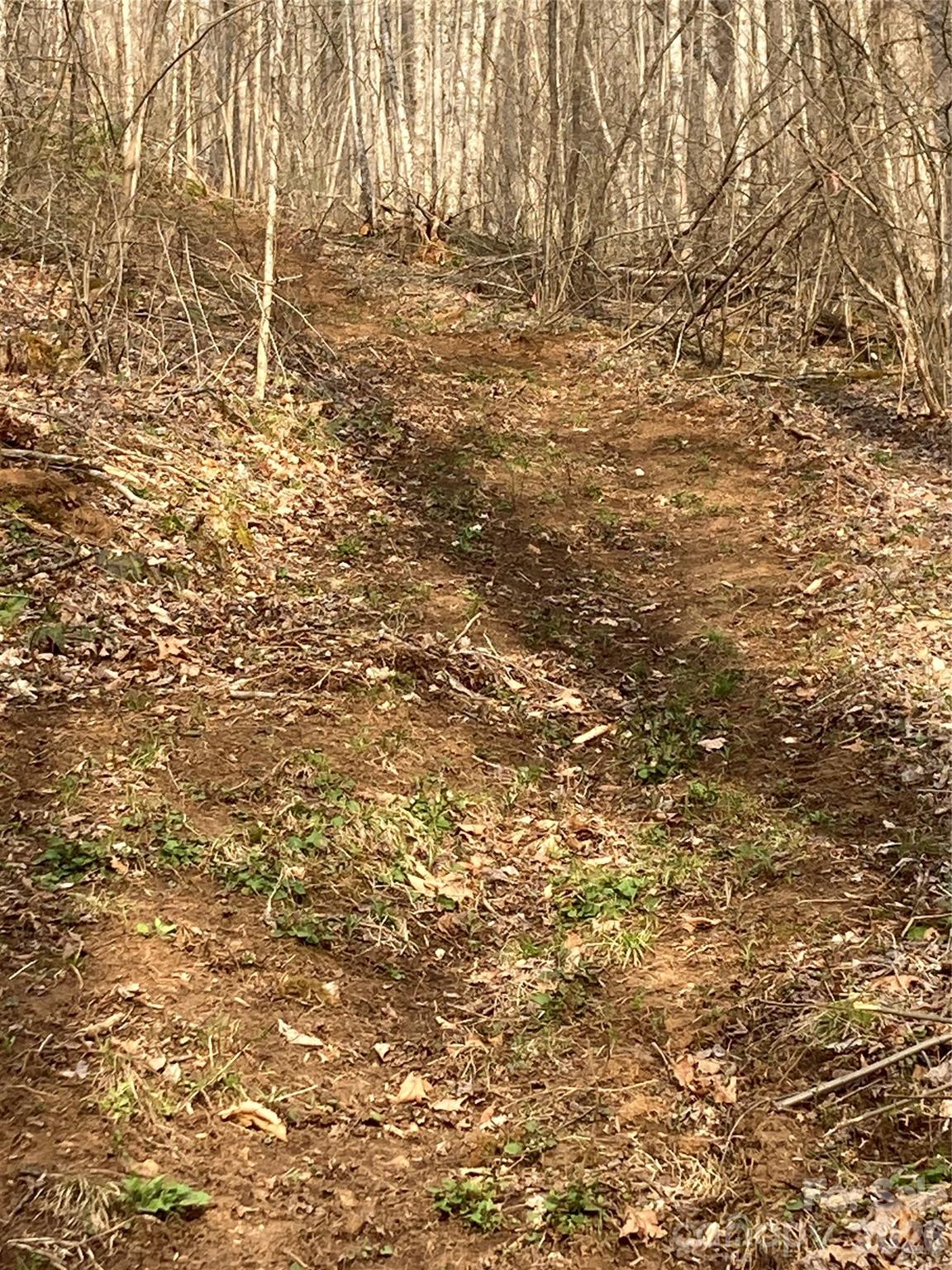 00 Sweet Creek Road Property Photo 16