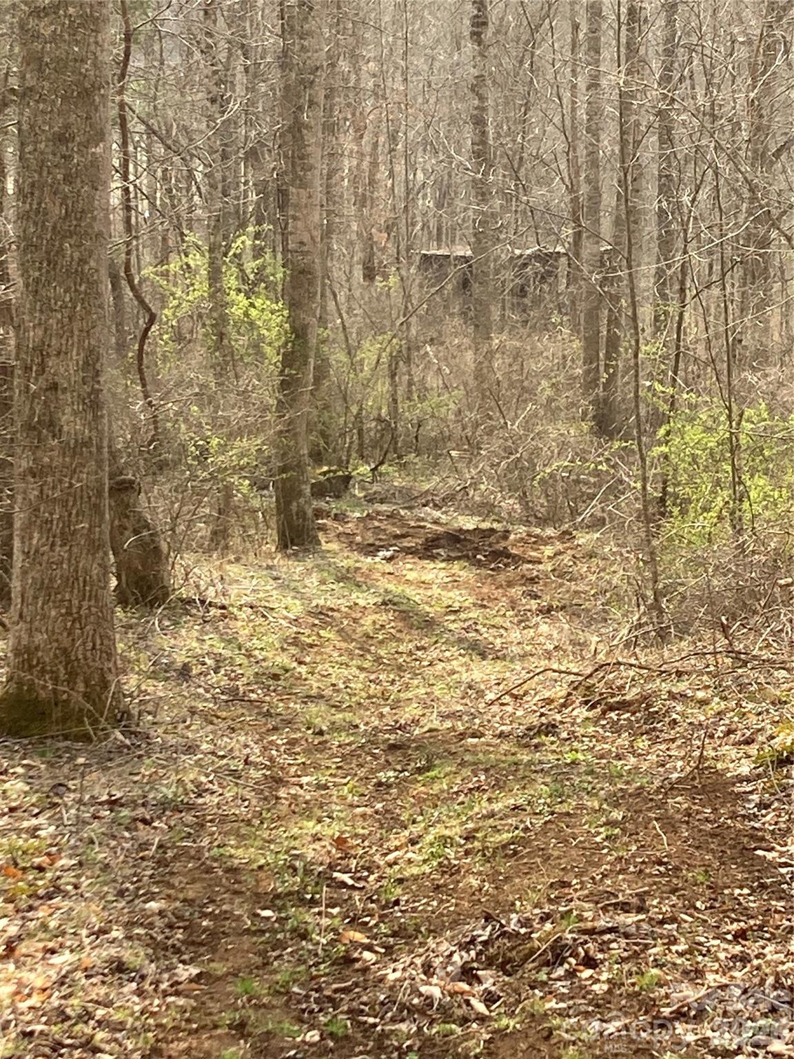 00 Sweet Creek Road Property Photo 17