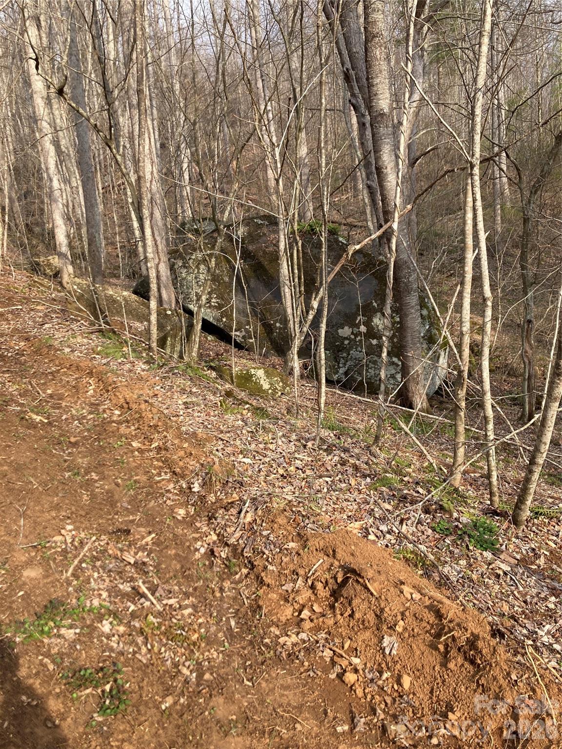 00 Sweet Creek Road Property Photo 18