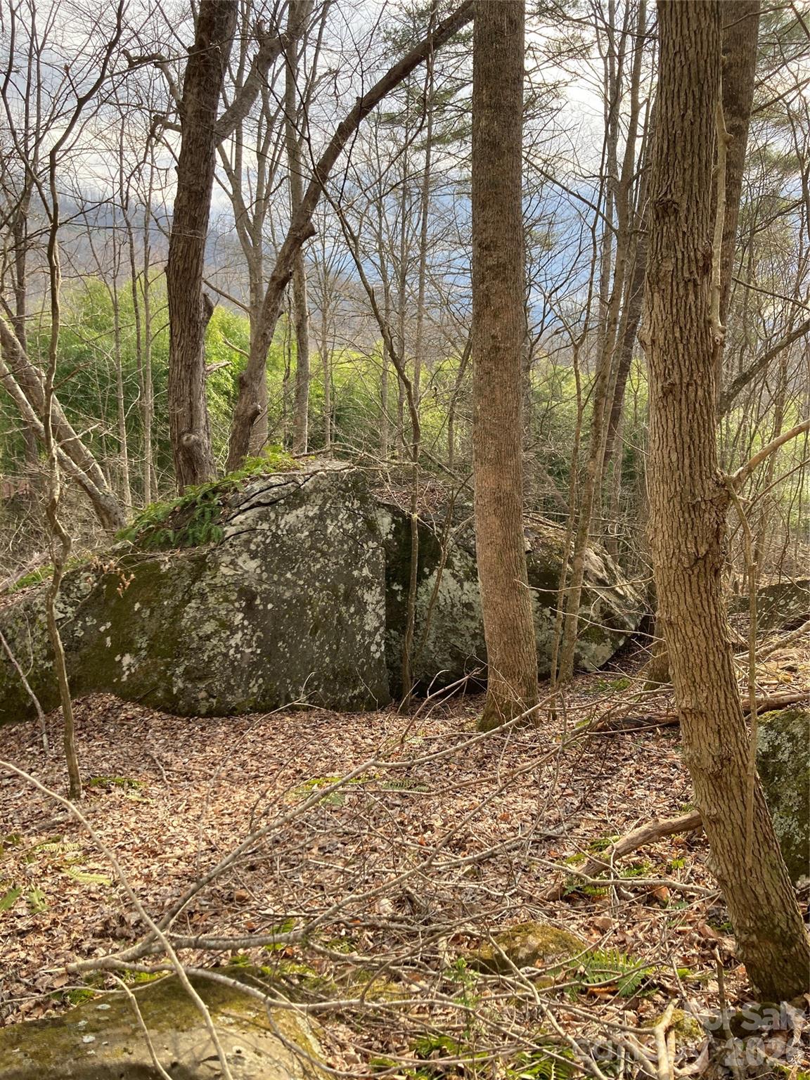 00 Sweet Creek Road Property Photo 19