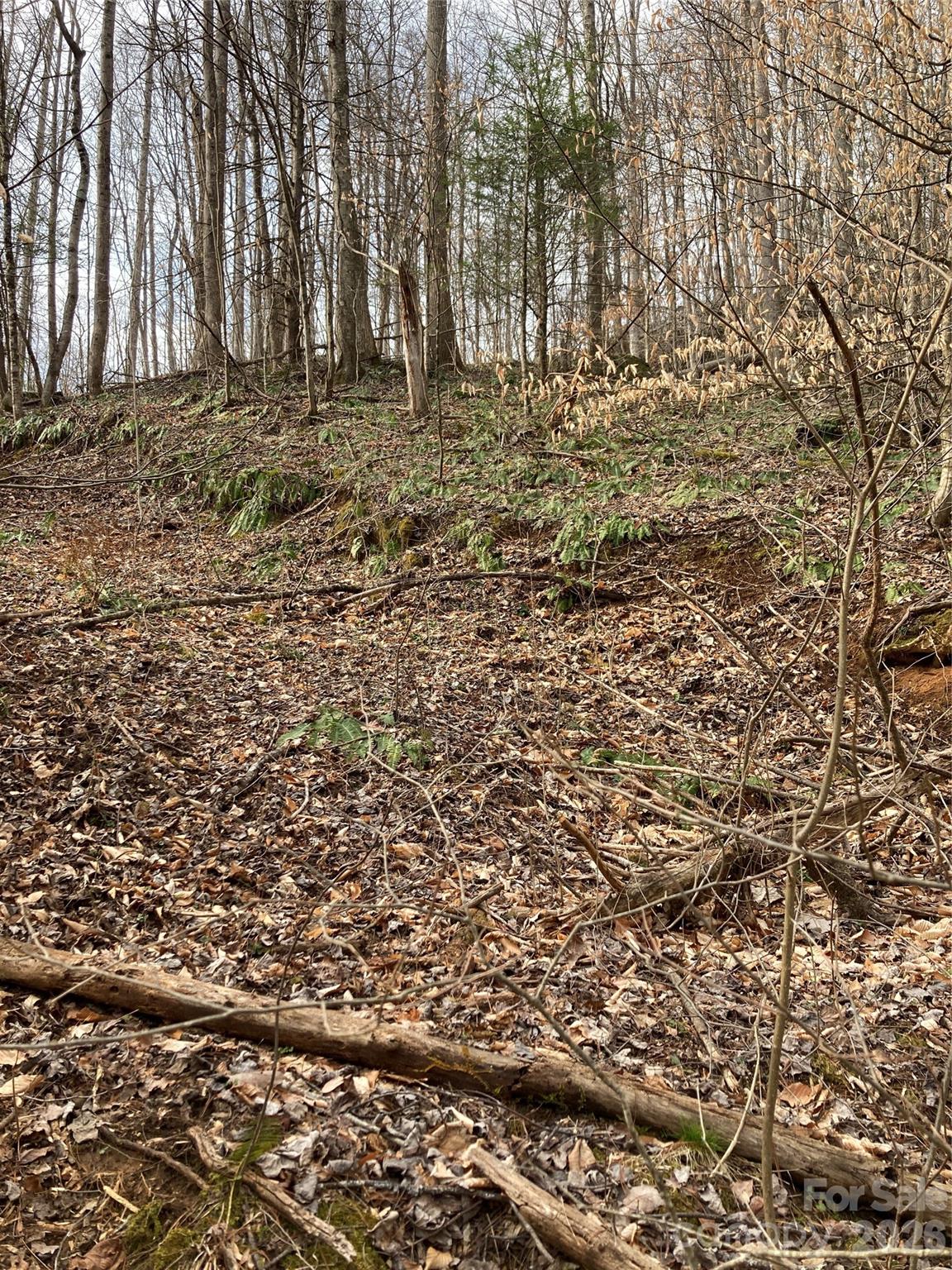 00 Sweet Creek Road Property Photo 21