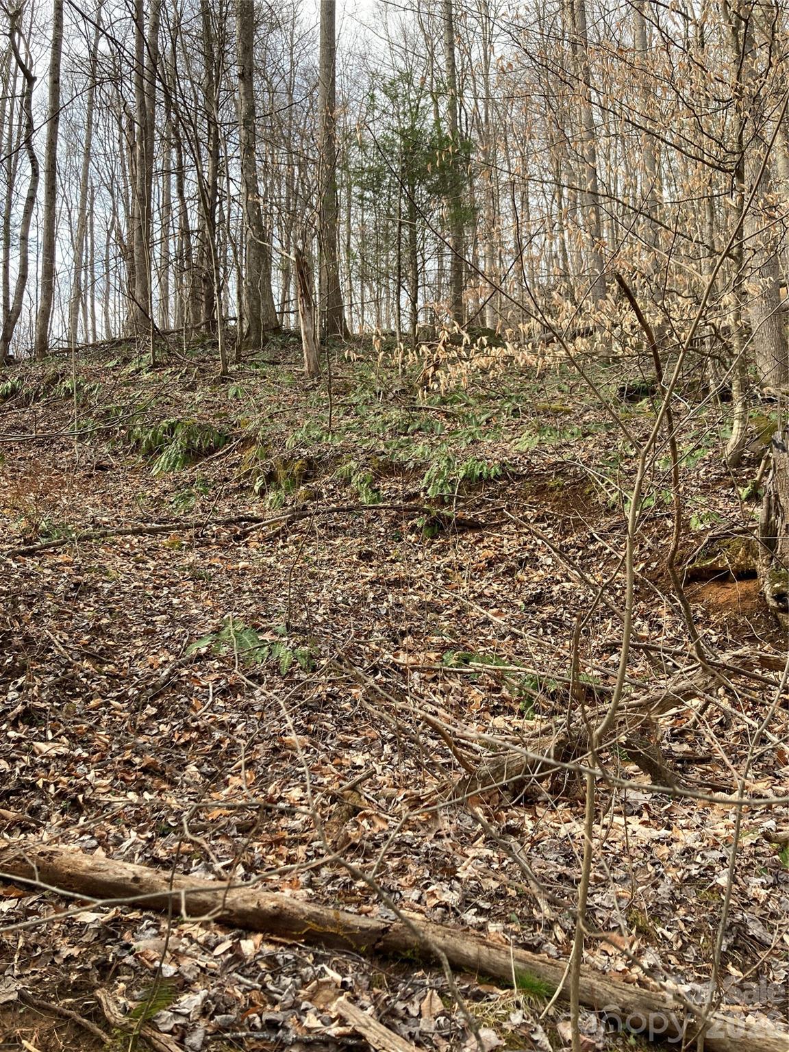 00 Sweet Creek Road Property Photo 22