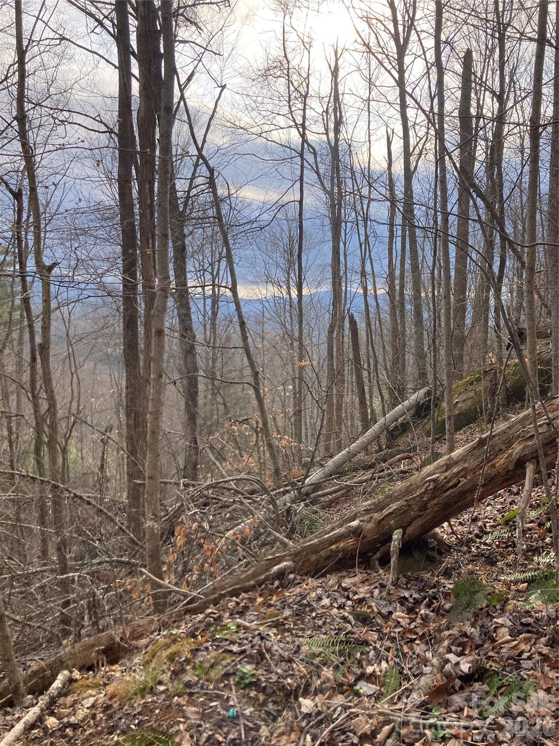00 Sweet Creek Road Property Photo 24