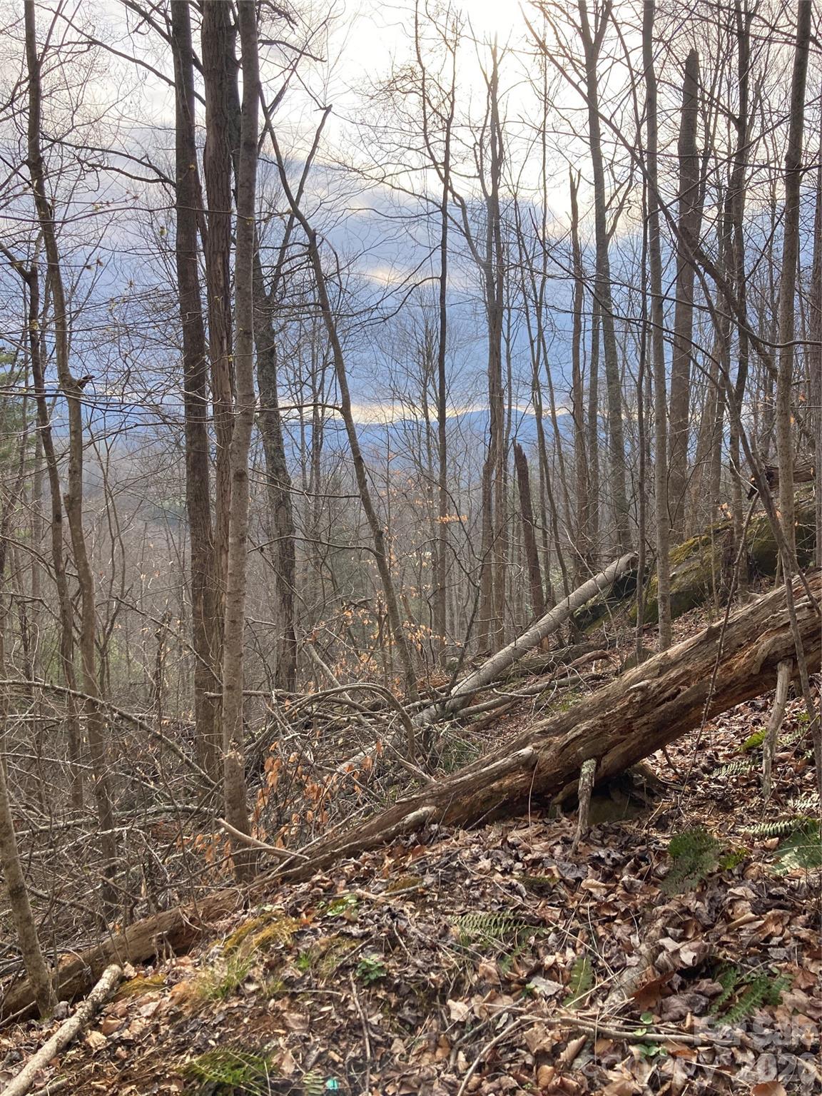 00 Sweet Creek Road Property Photo 25