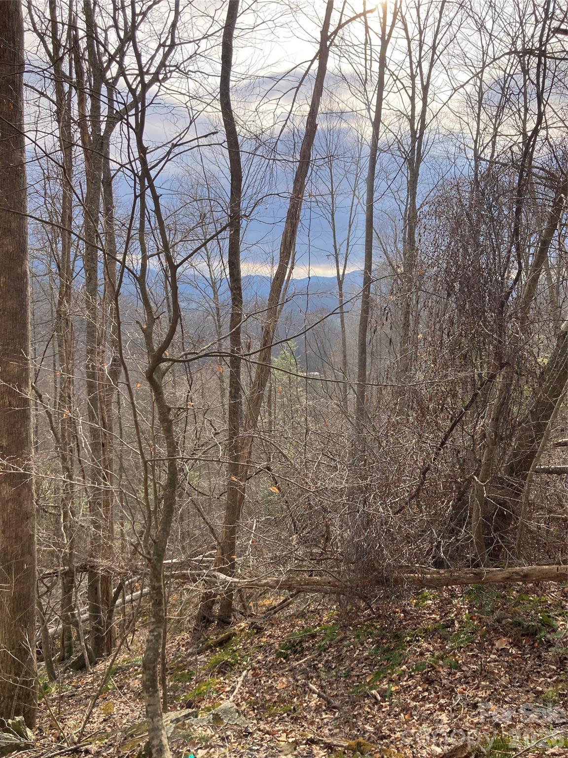 00 Sweet Creek Road Property Photo 26